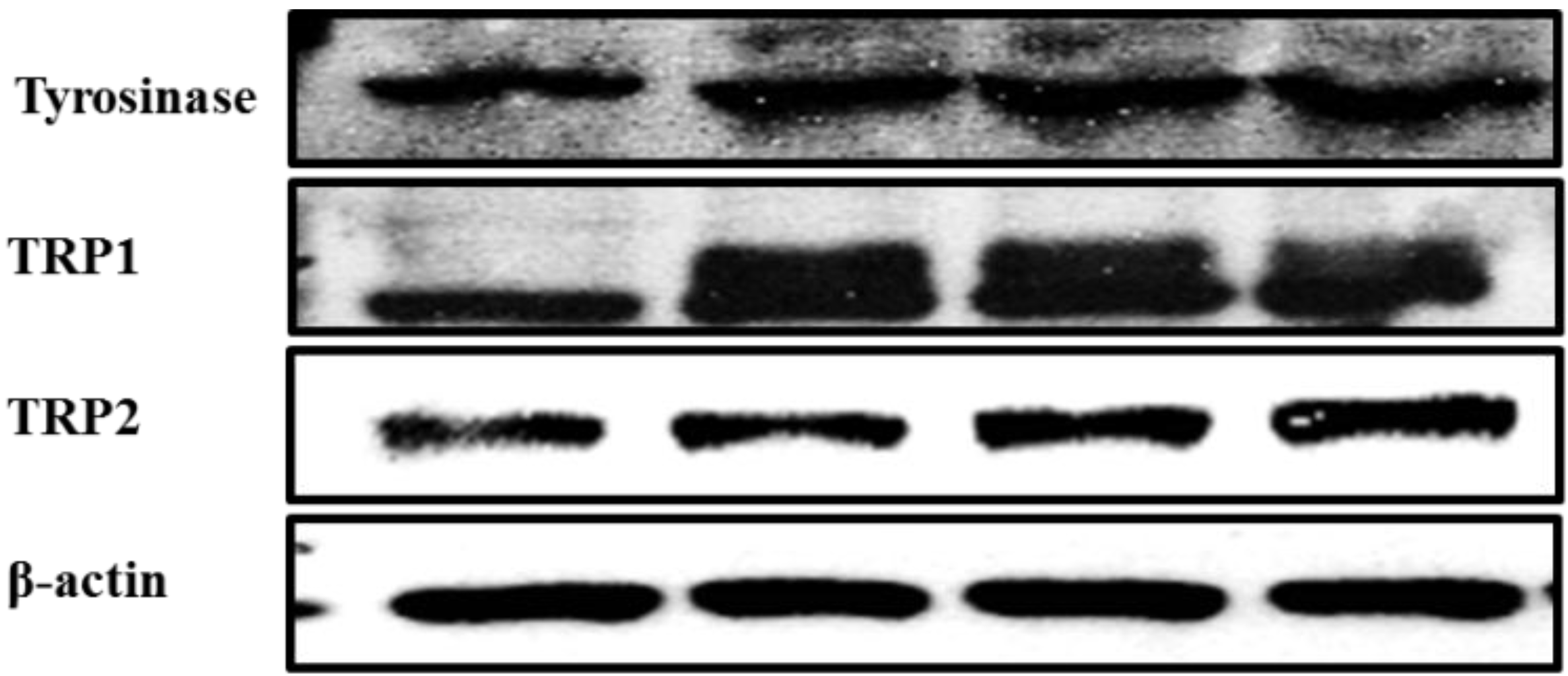 Ijms 16 08772 g003a 1024