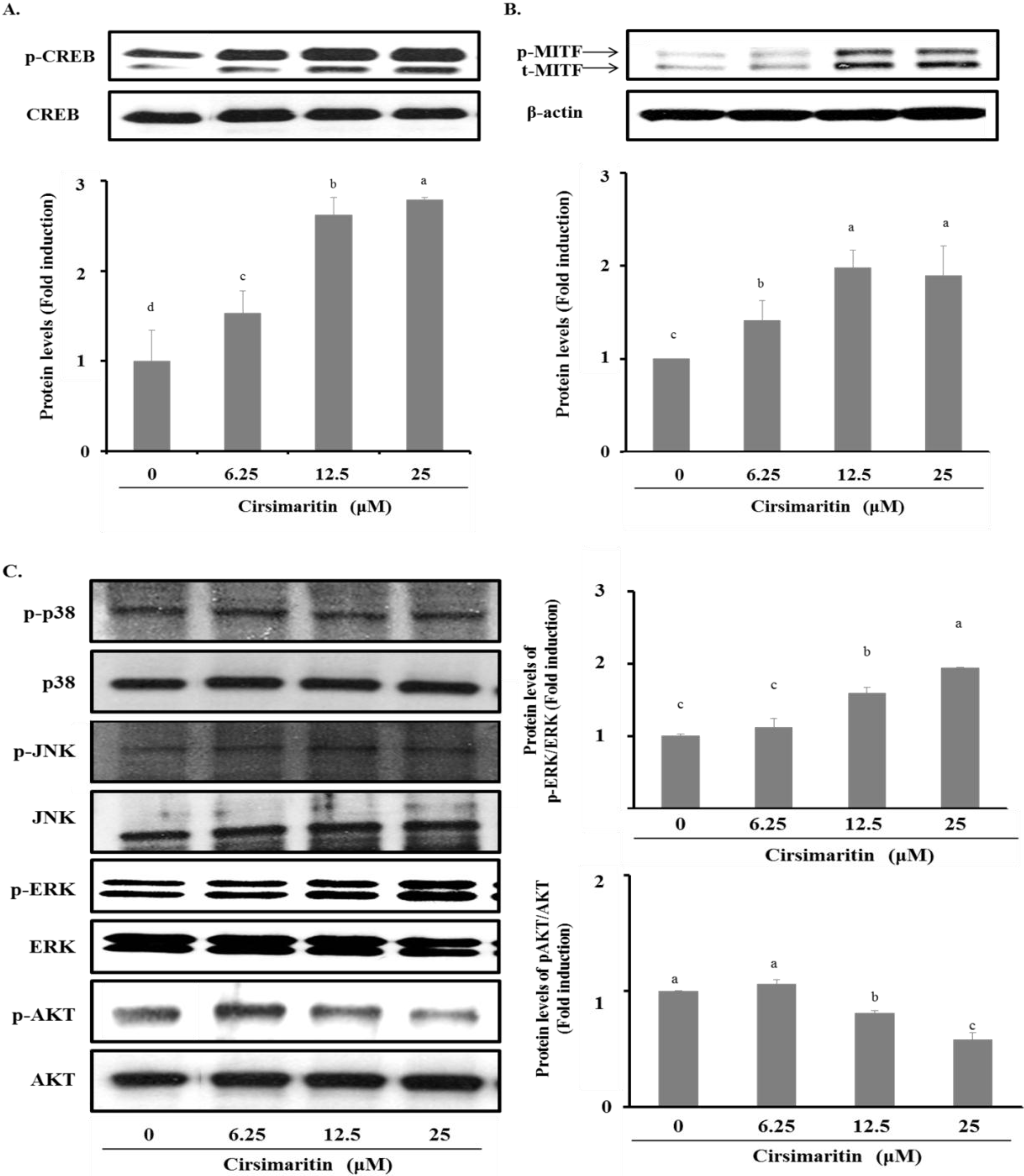 Ijms 16 08772 g004 1024