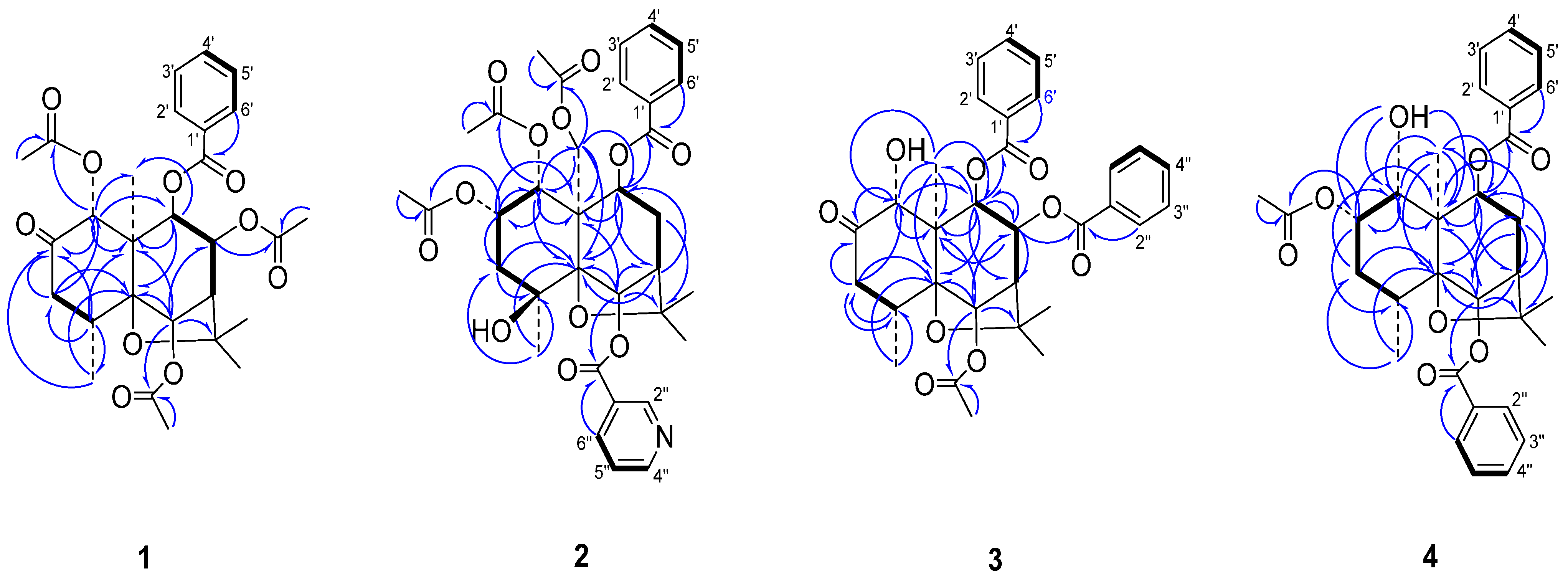 Ijms 16 09119 g002 1024