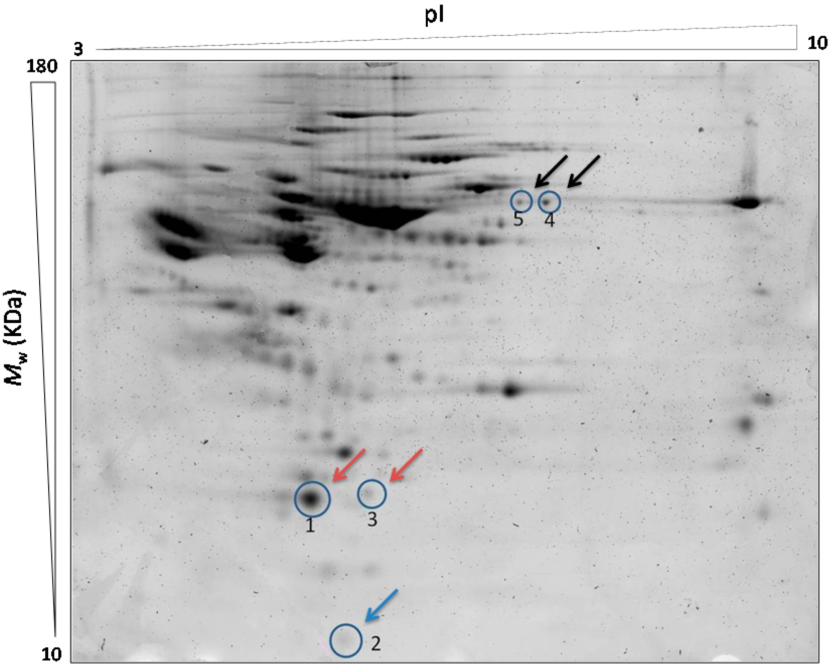 Ijms 16 09469 g001 1024