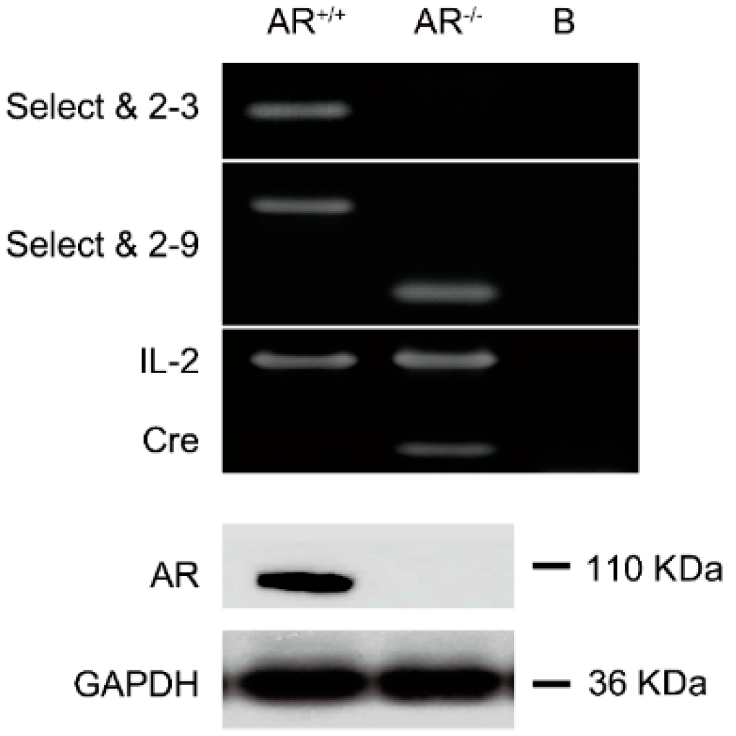 Ijms 16 09831 g001