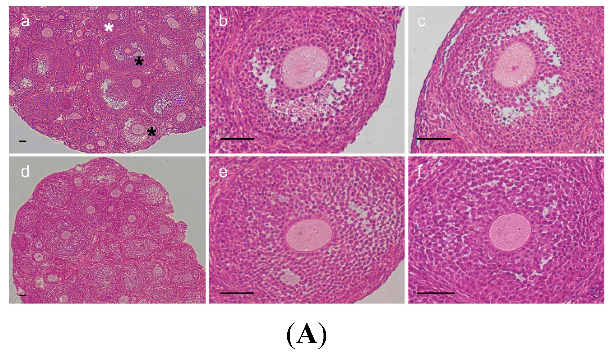 Ijms 16 09831 g003a