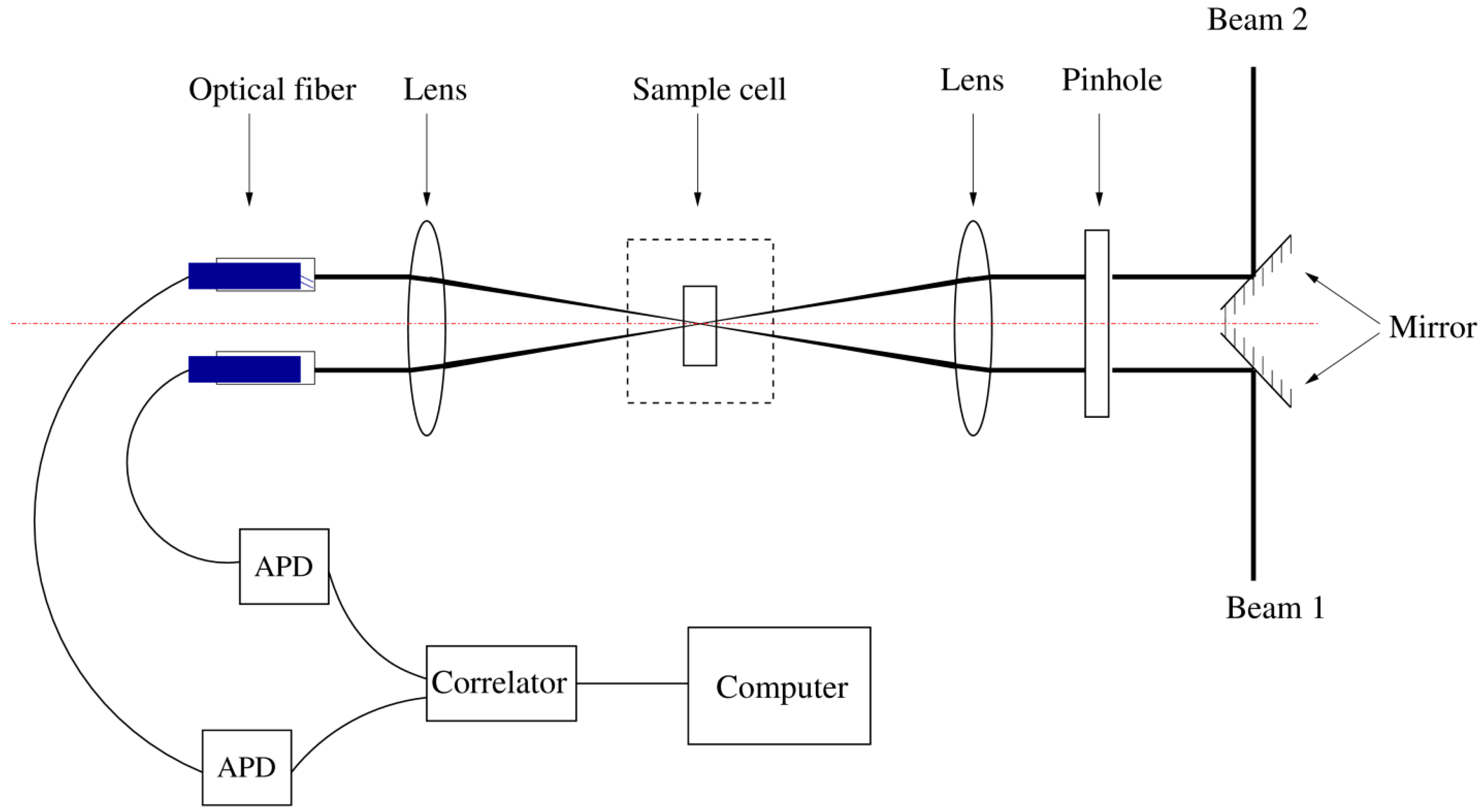 Ijms 16 10016 g007 1024