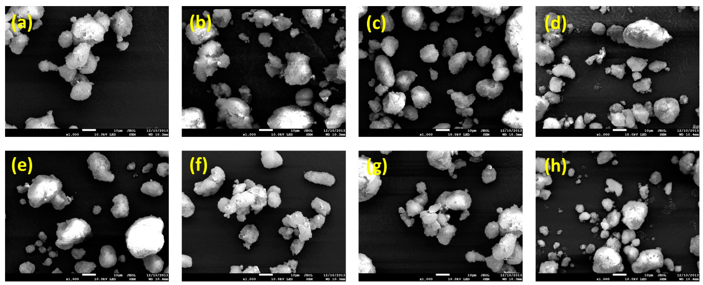 Ijms 16 10821 g003 1024