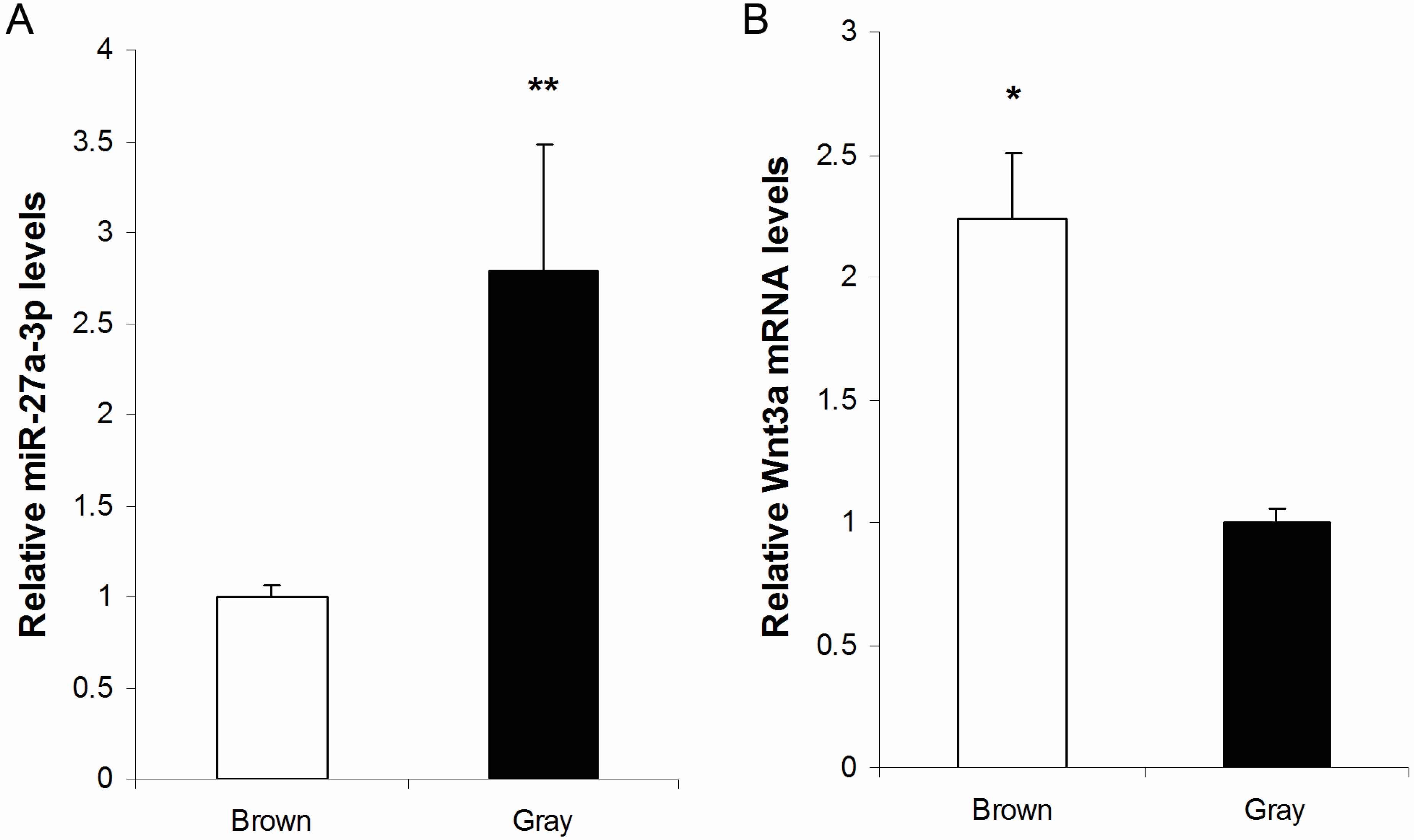 Ijms 16 10921 g001 1024