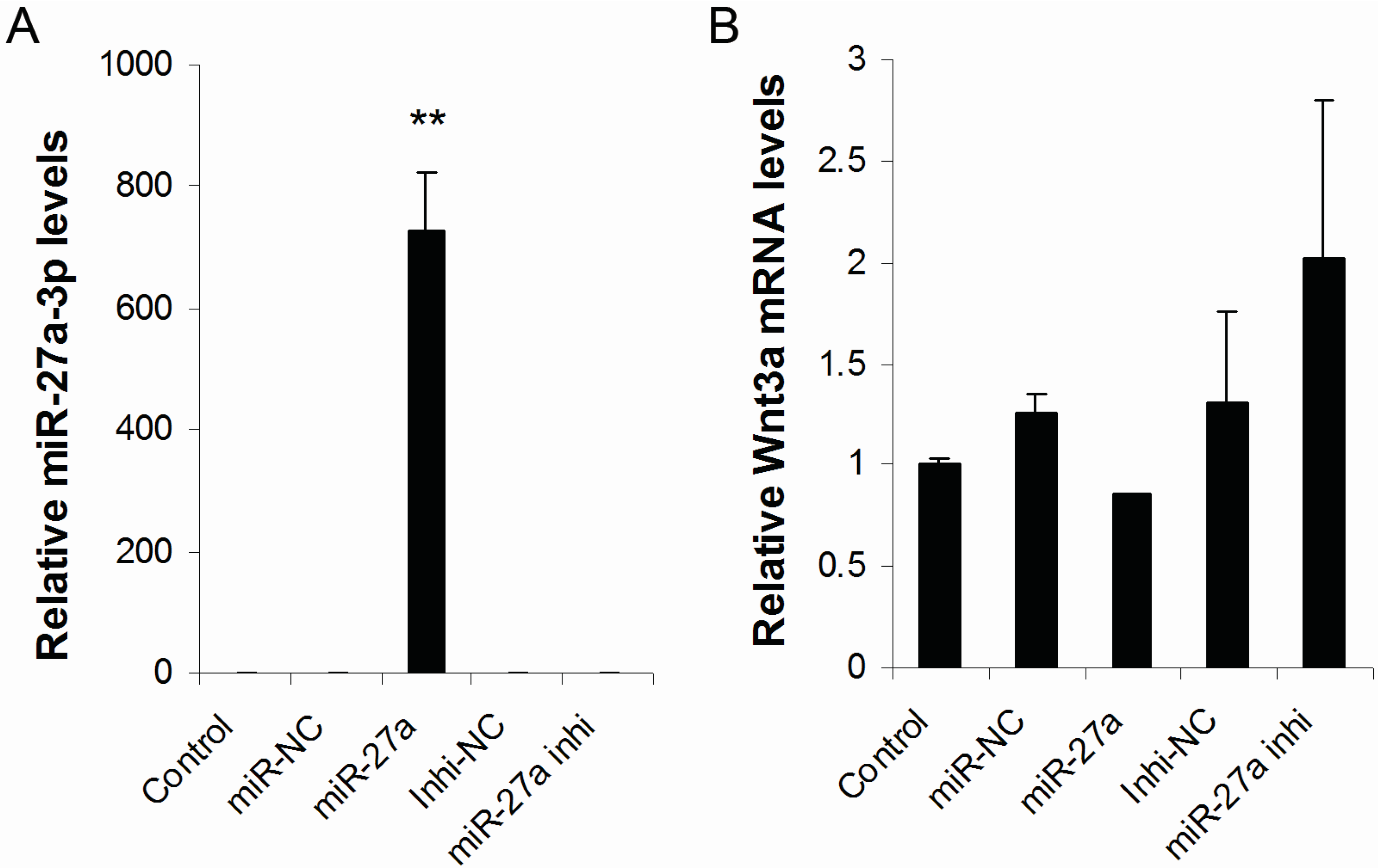 Ijms 16 10921 g003 1024