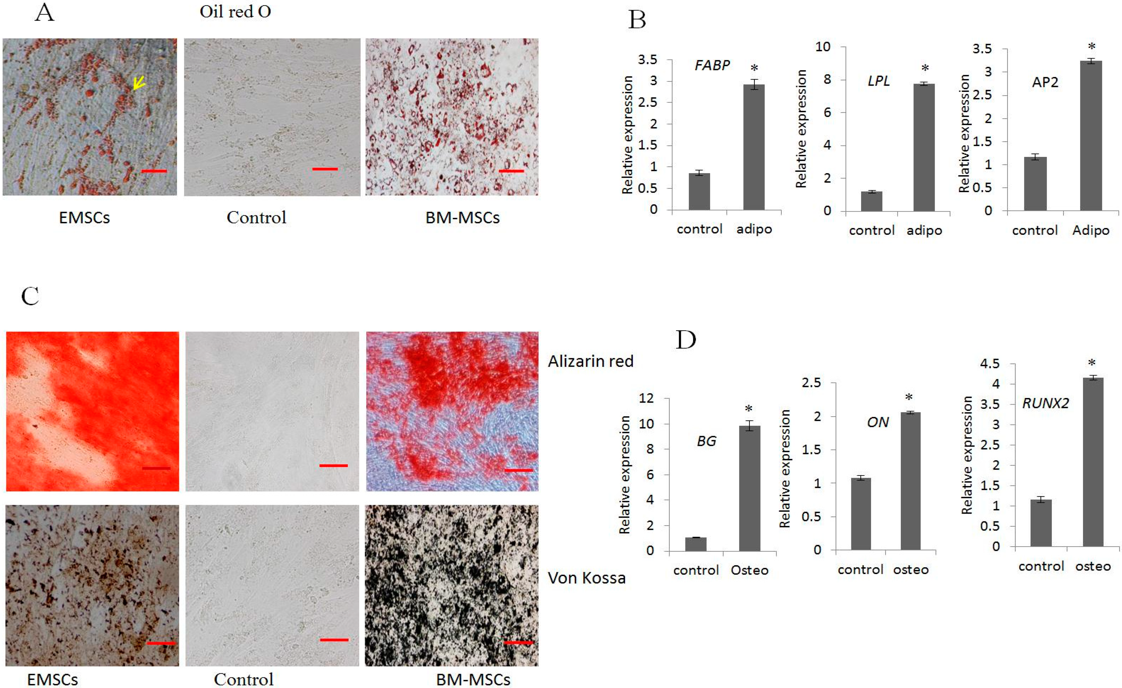 Ijms 16 10934 g002 1024