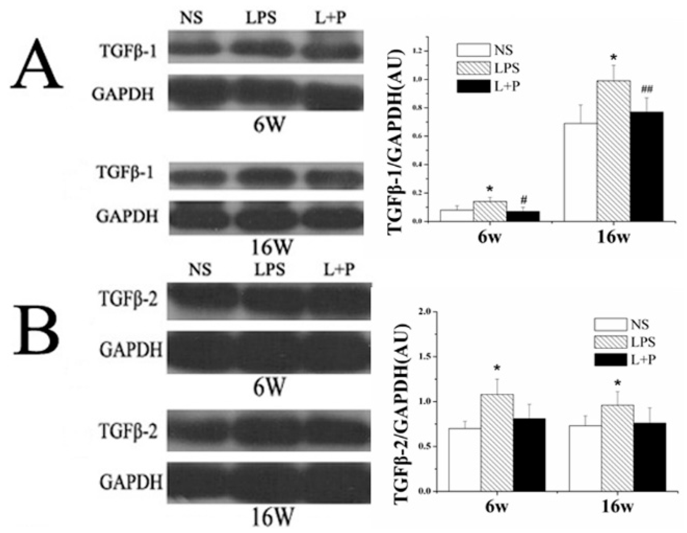 Ijms 16 10986 g004 1024
