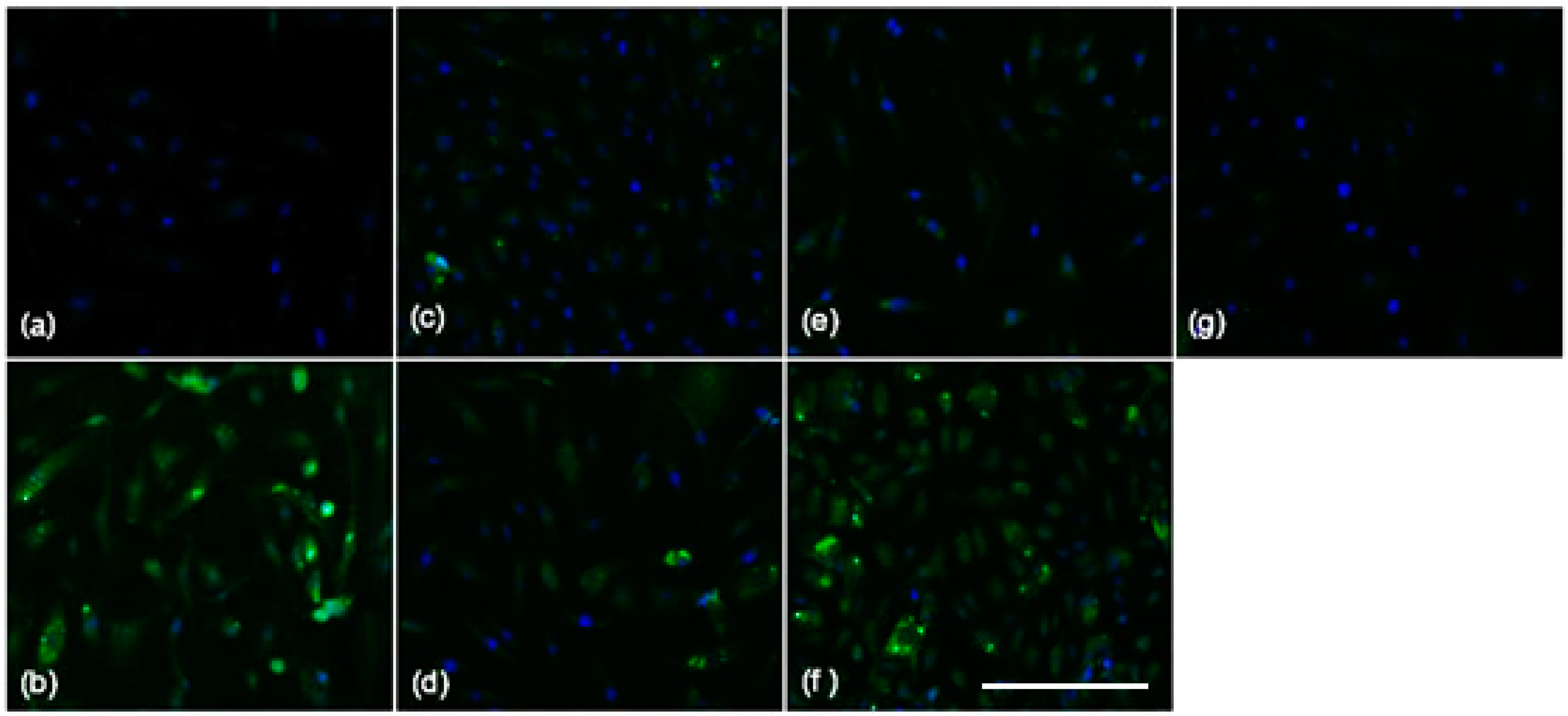 Ijms 16 11101 g003 1024