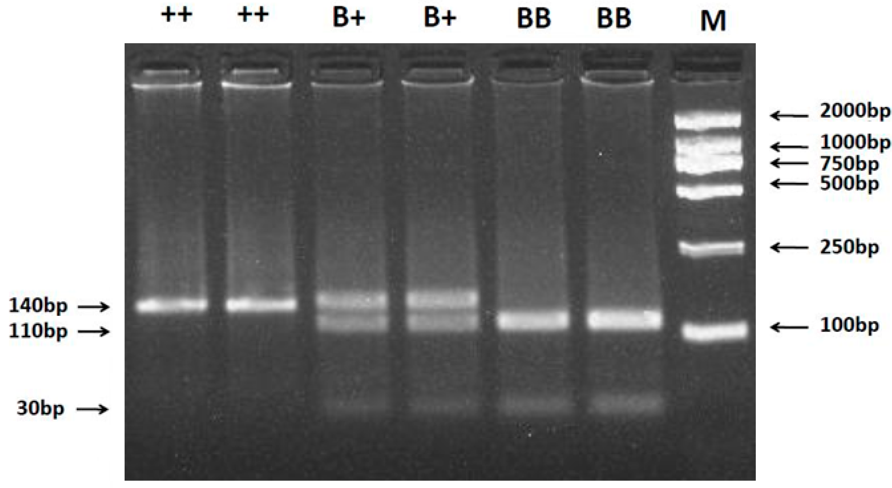 Ijms 16 11385 g001