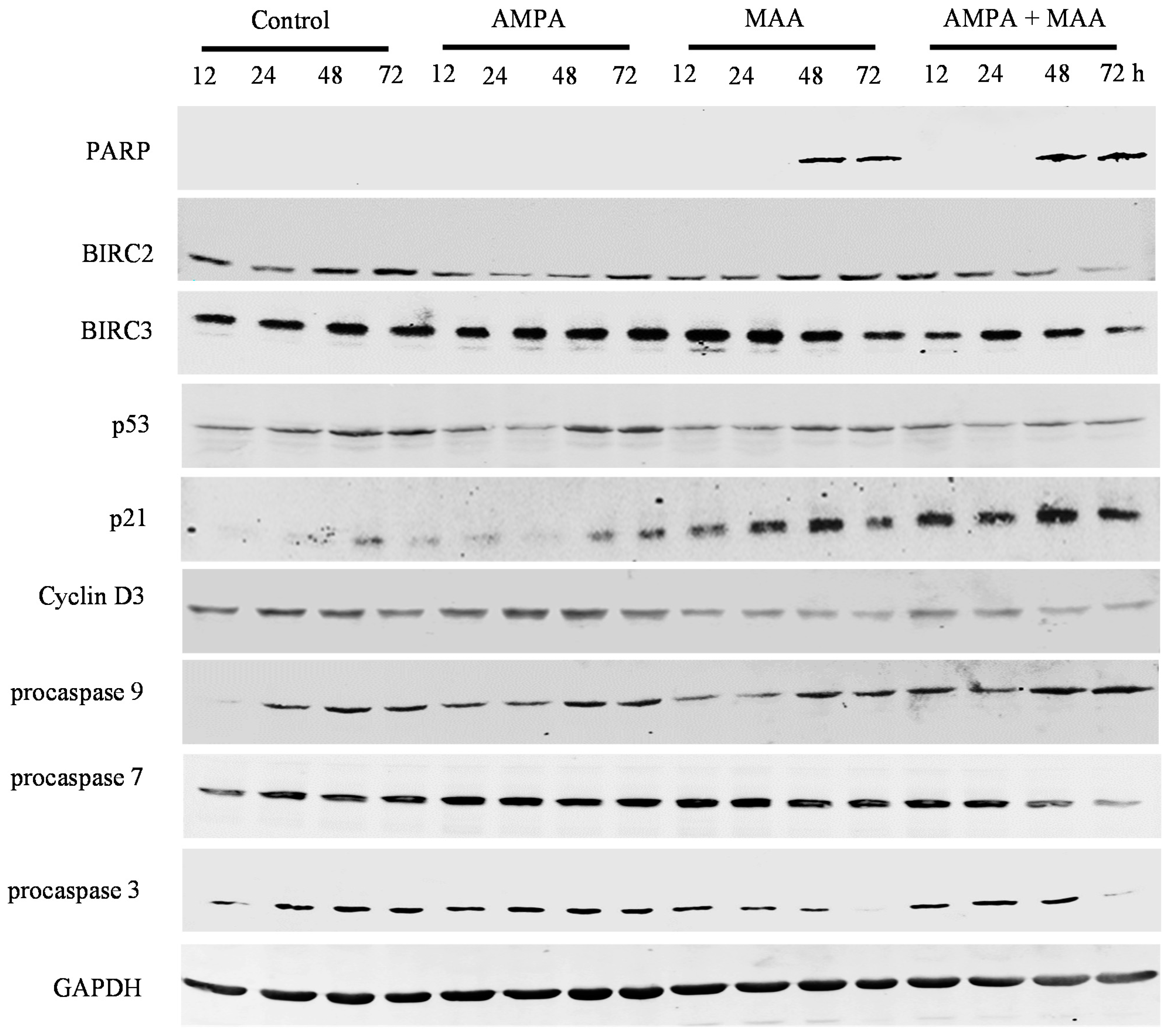 Ijms 16 11750 g005