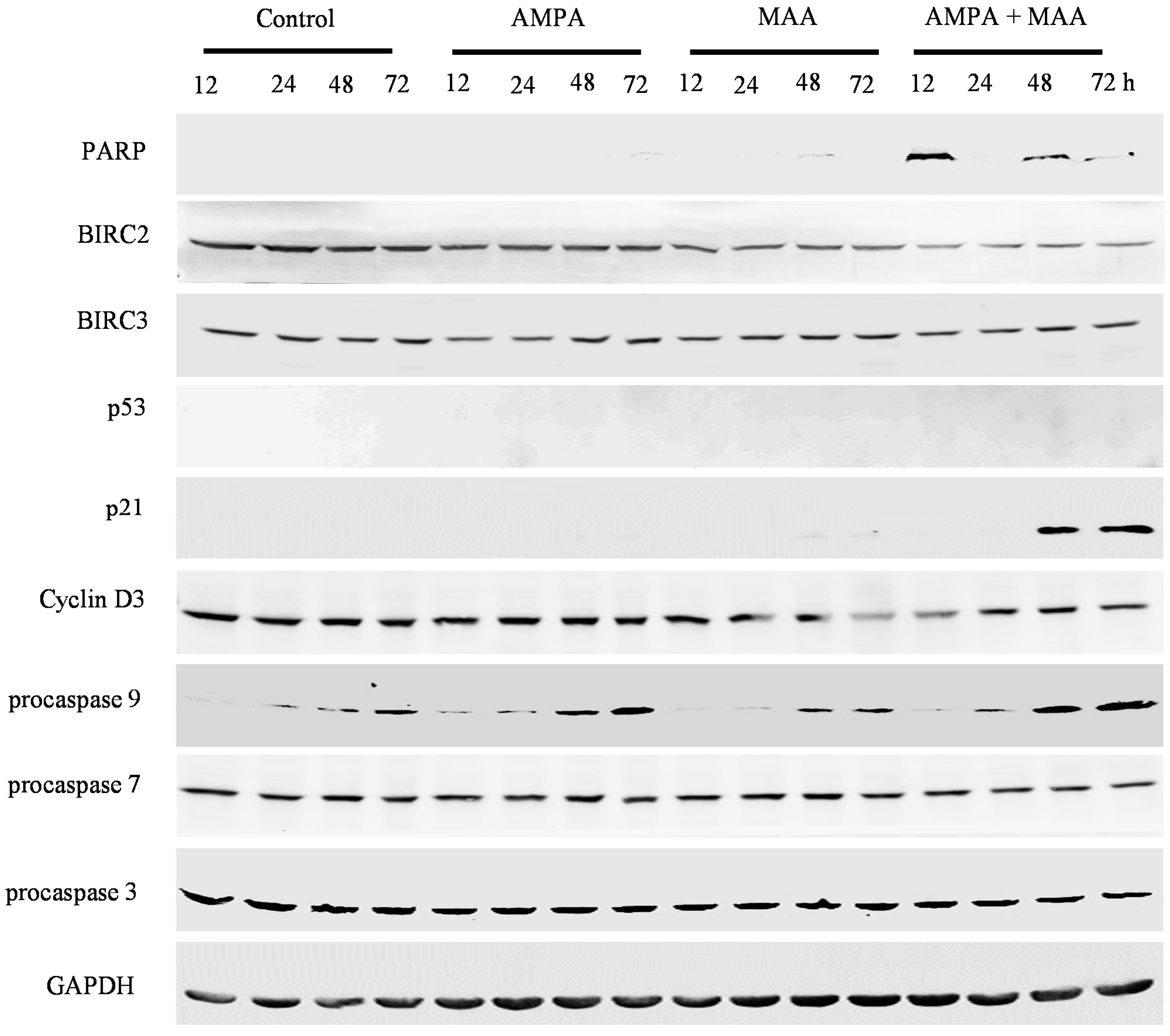 Ijms 16 11750 g006
