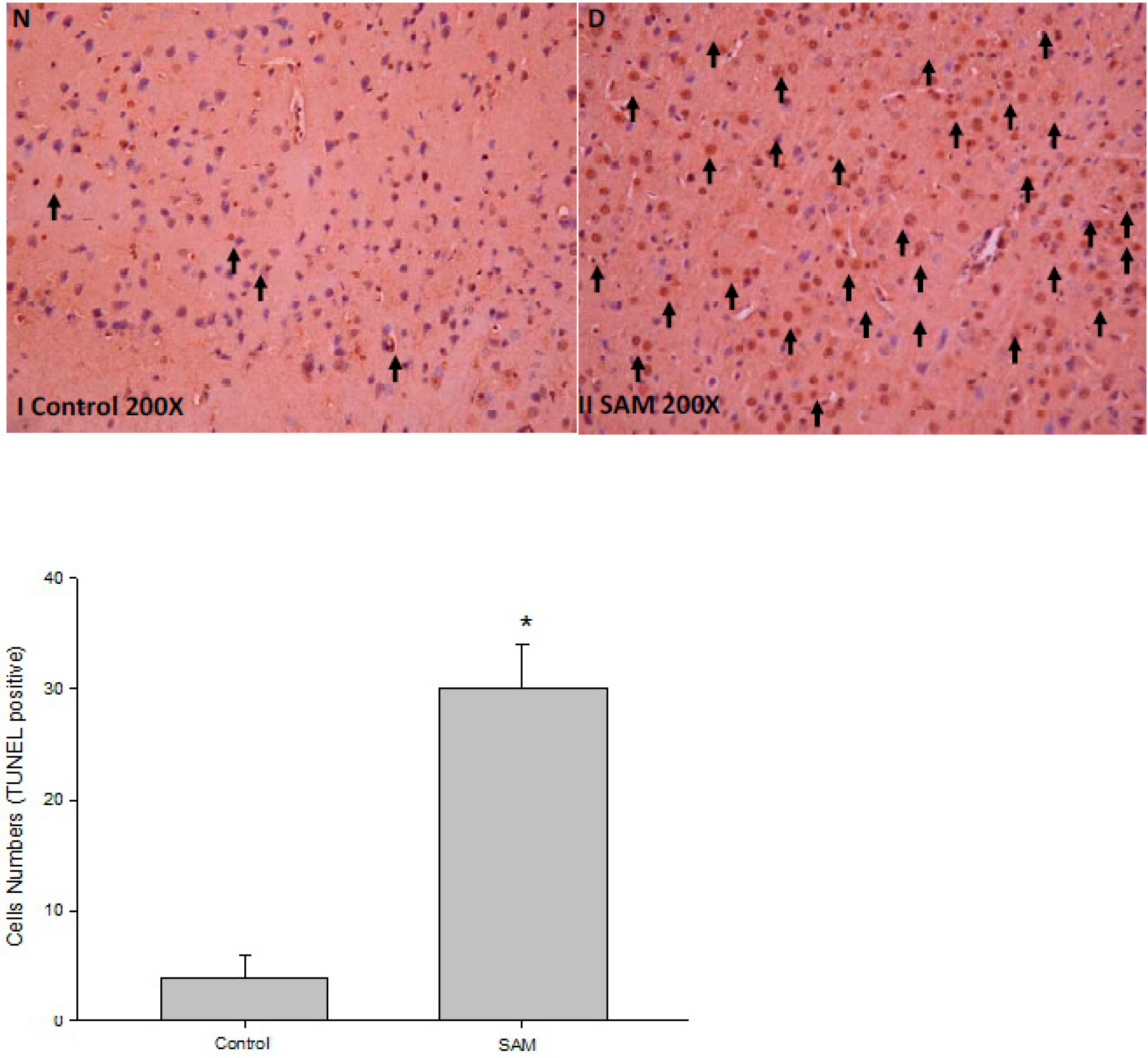 Ijms 16 11873 g001 1024