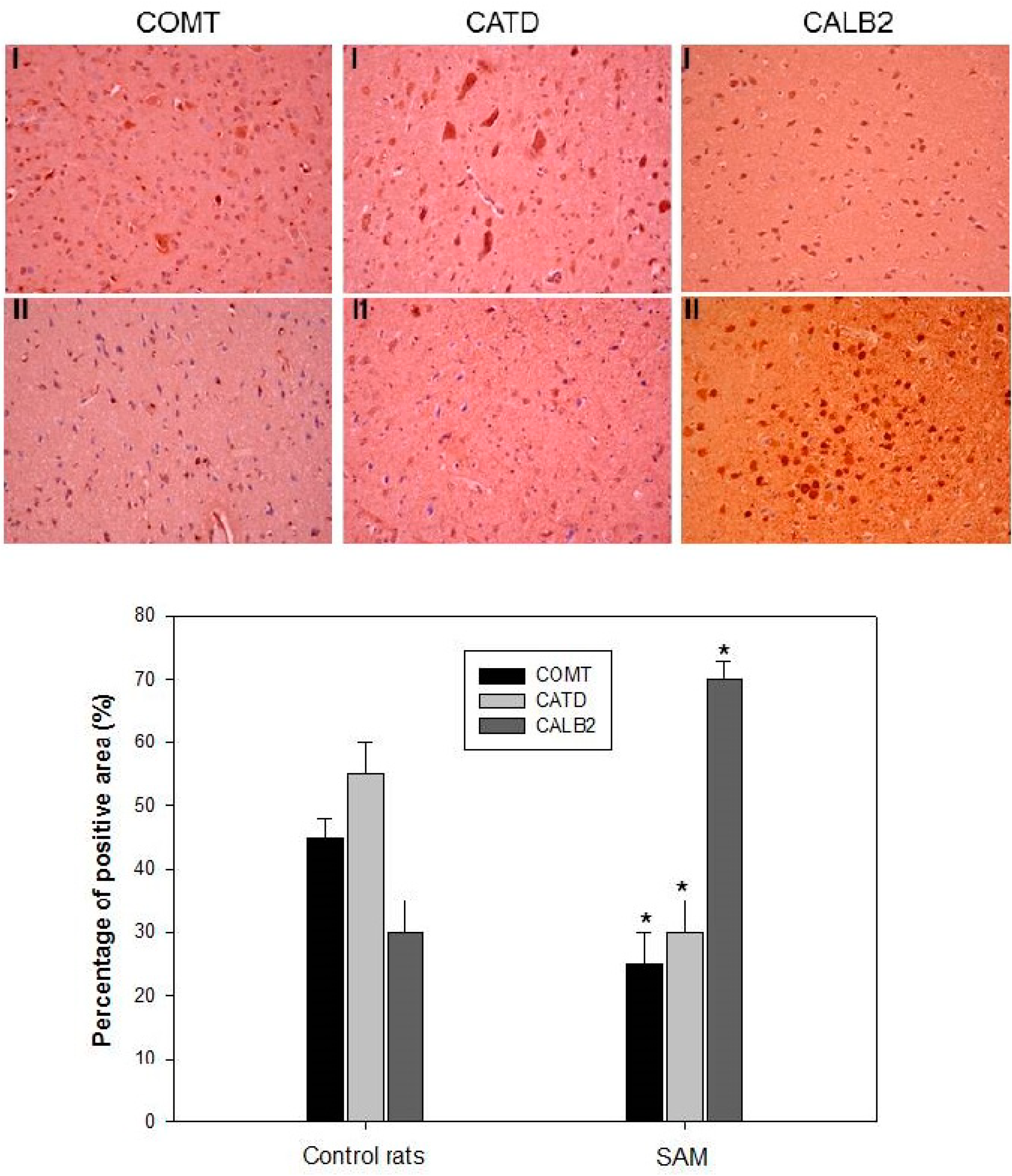 Ijms 16 11873 g004 1024