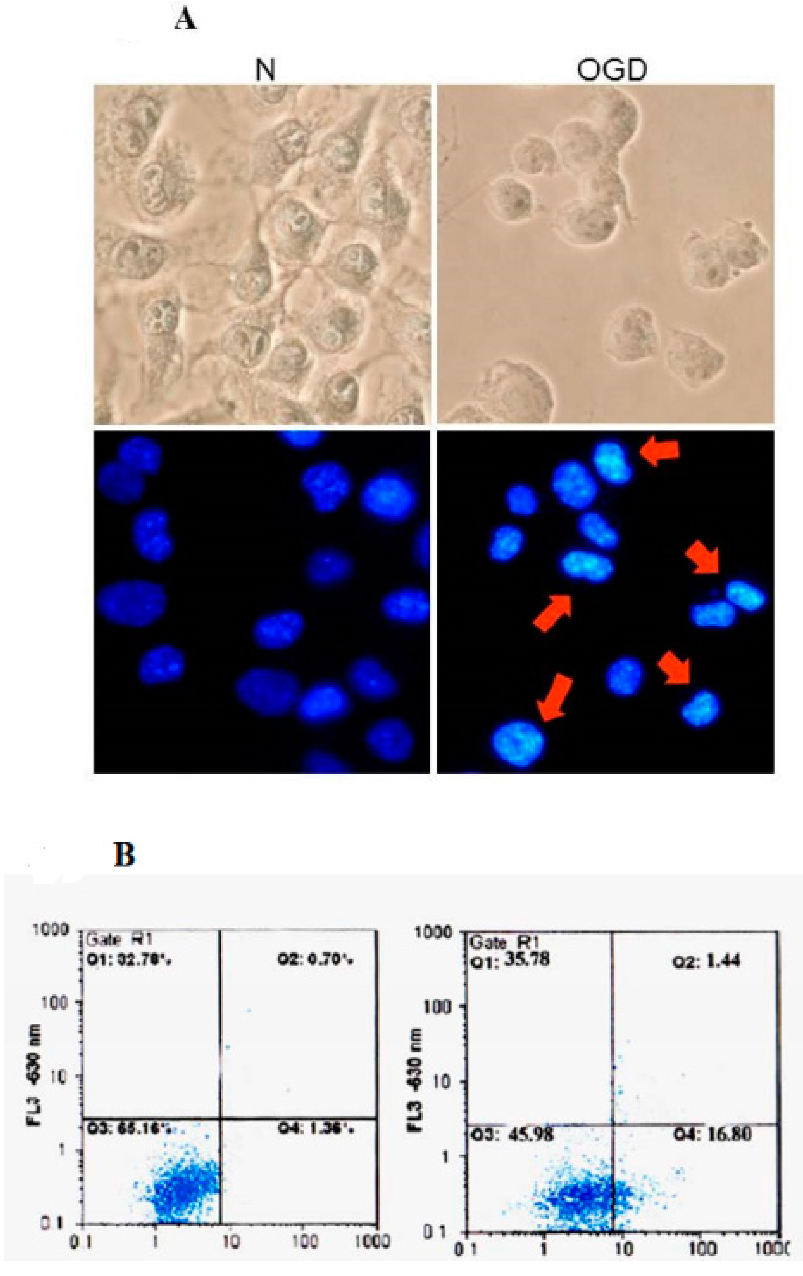 Ijms 16 11873 g005 1024