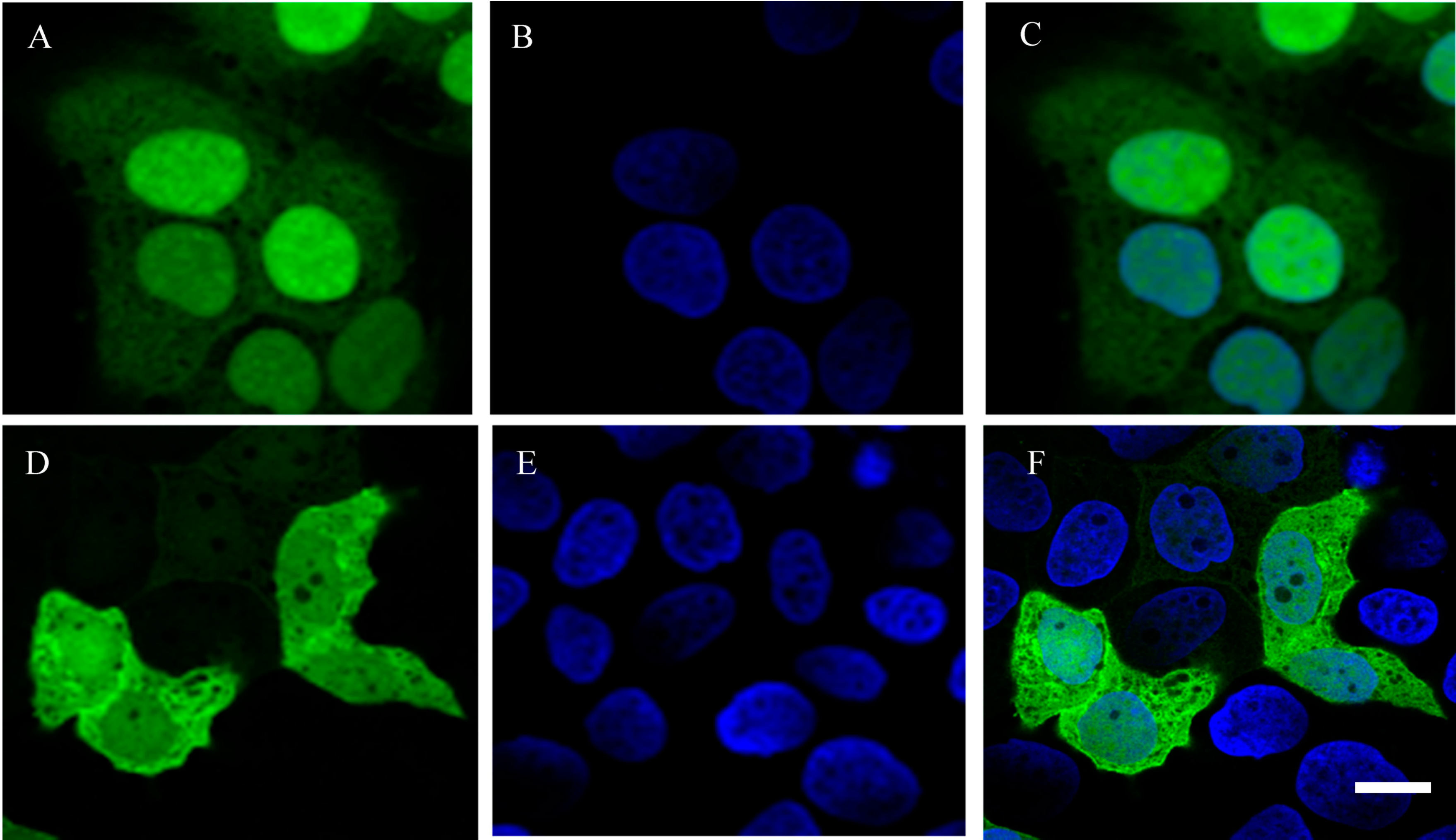 Ijms 16 11892 g004 1024