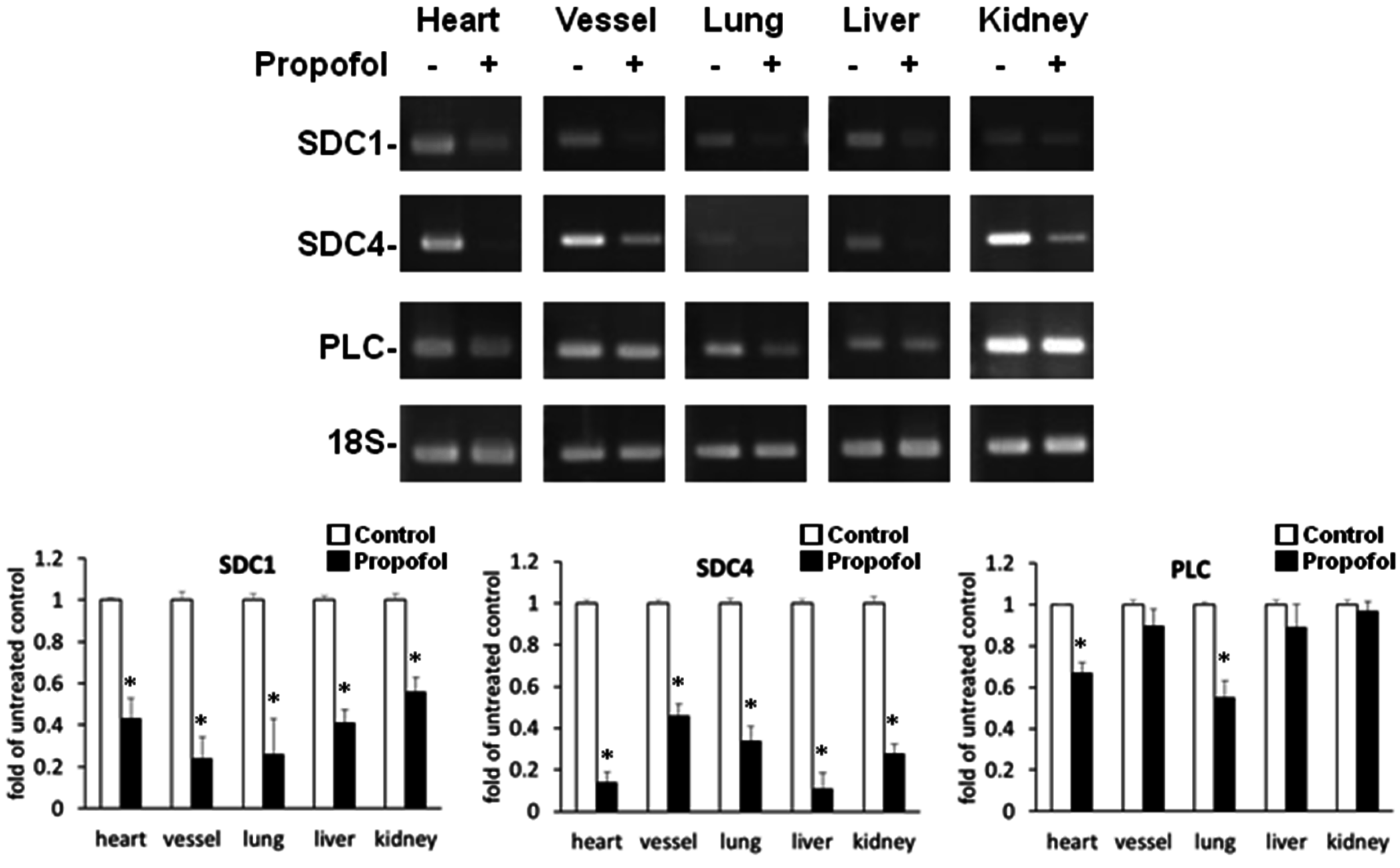 Ijms 16 12092 g002 1024