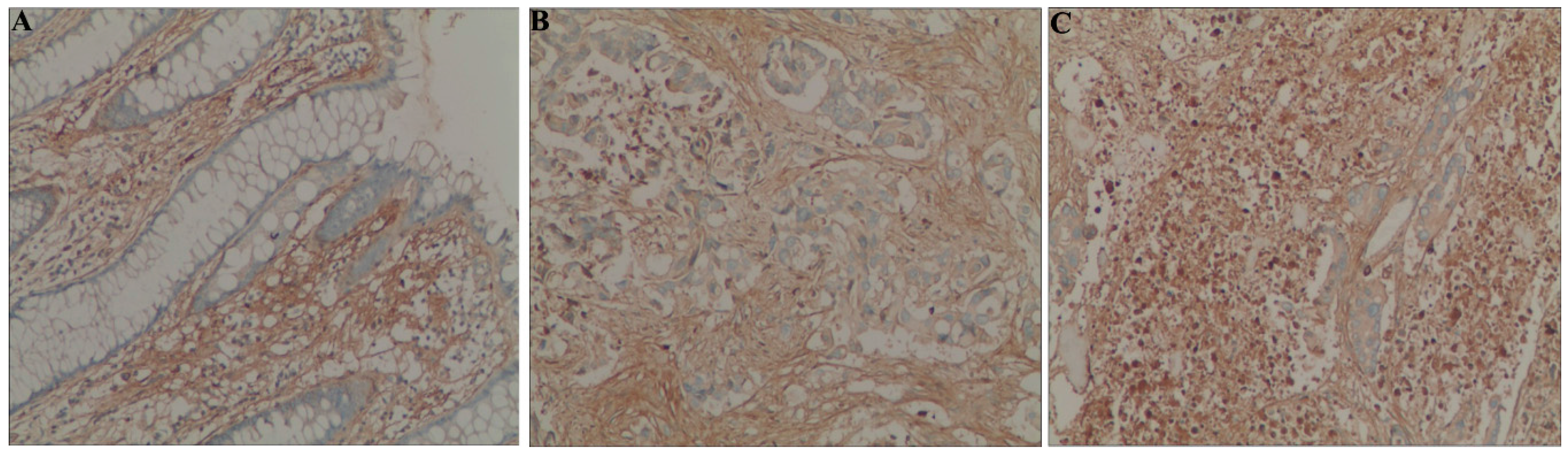 Ijms 16 12108 g001 1024