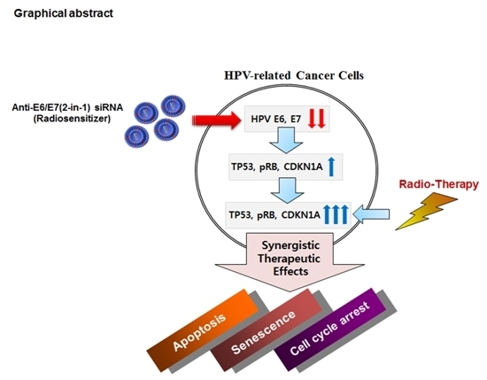 Hpv suppressive therapy,