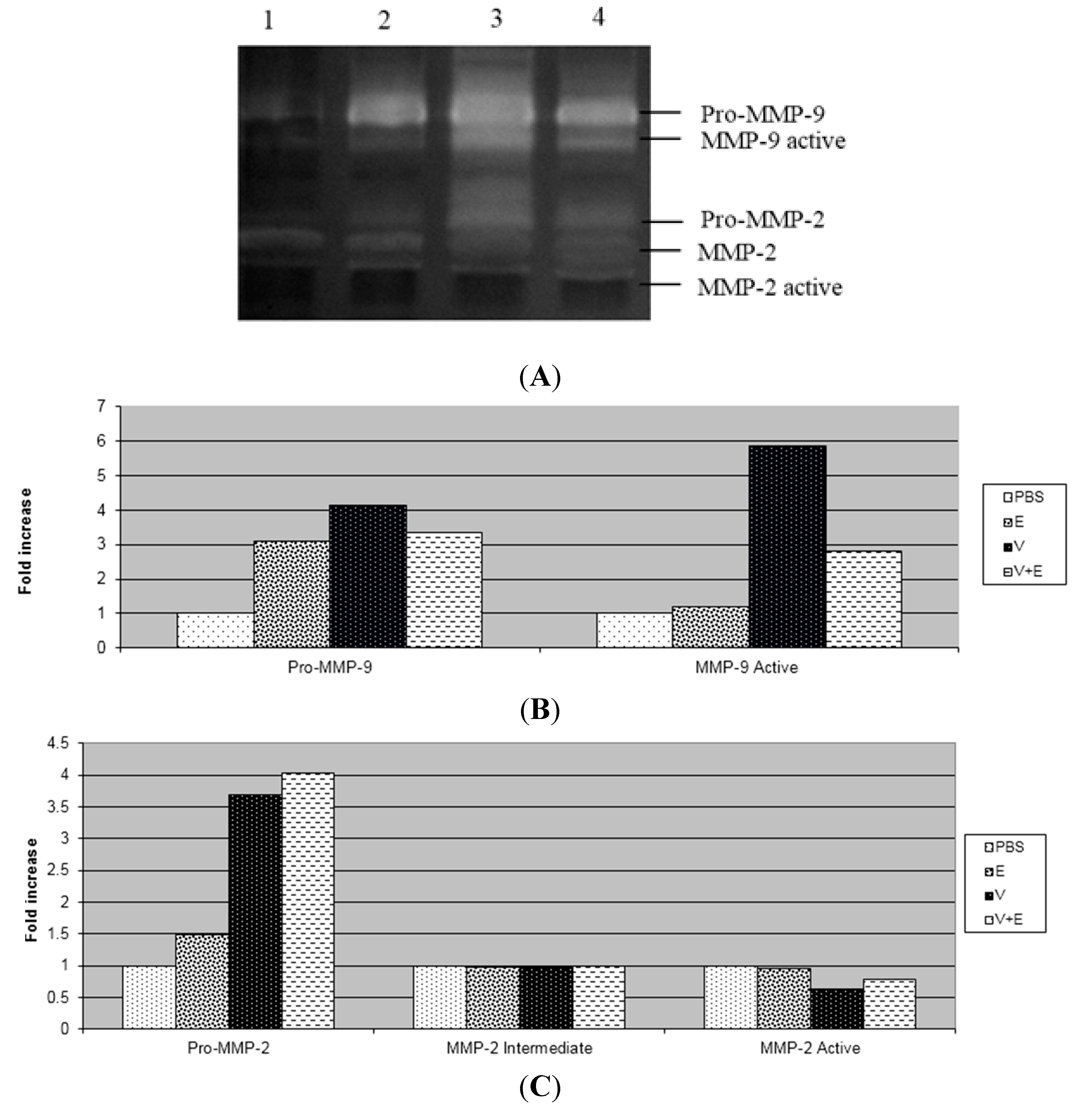 Ijms 16 12454 g002 1024