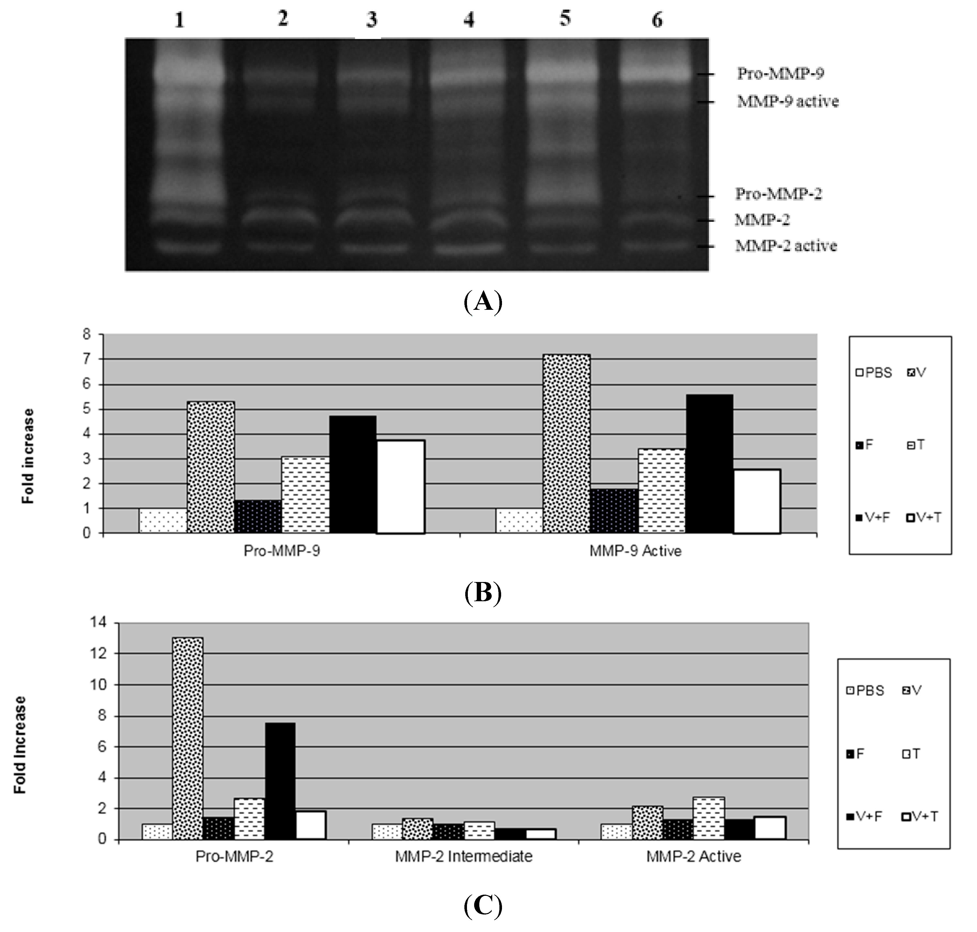 Ijms 16 12454 g003 1024