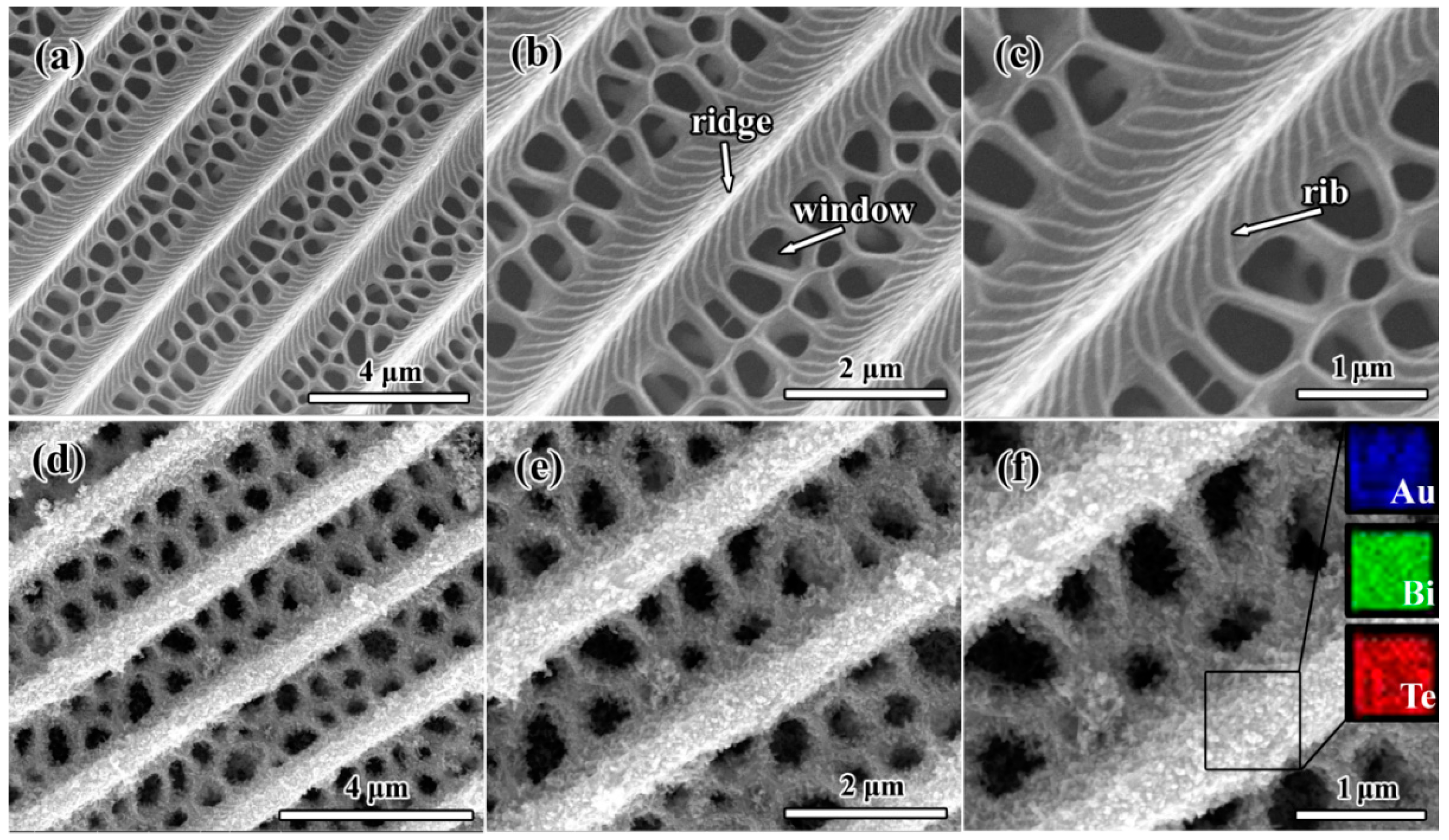 Ijms 16 12547 g001 1024