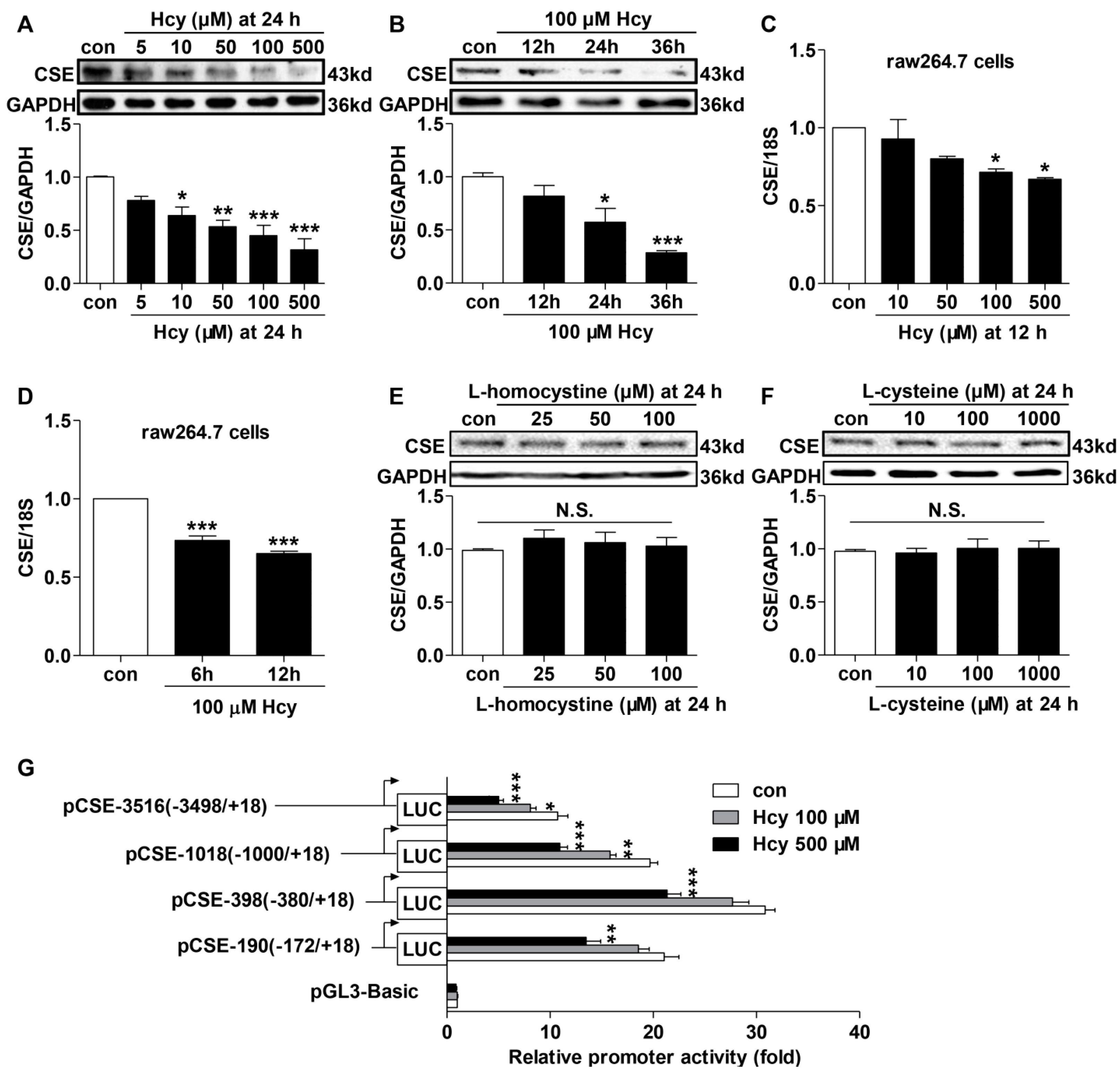 Ijms 16 12560 g003 1024