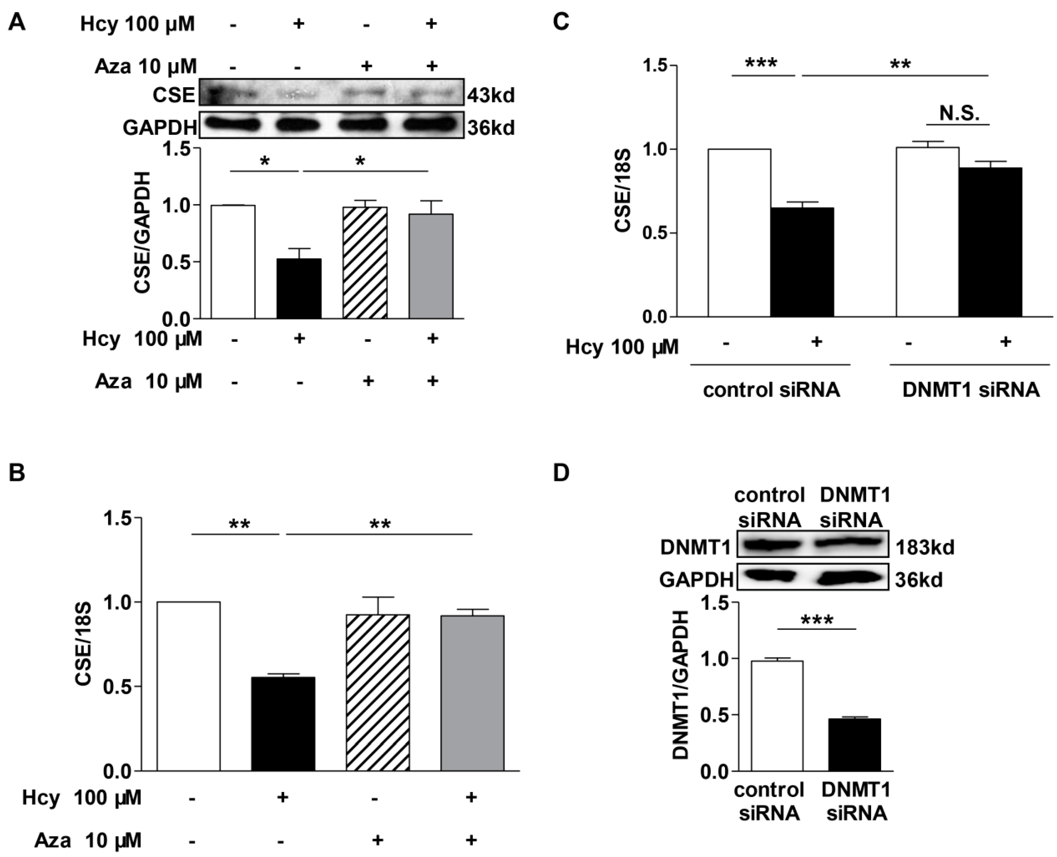 Ijms 16 12560 g005 1024