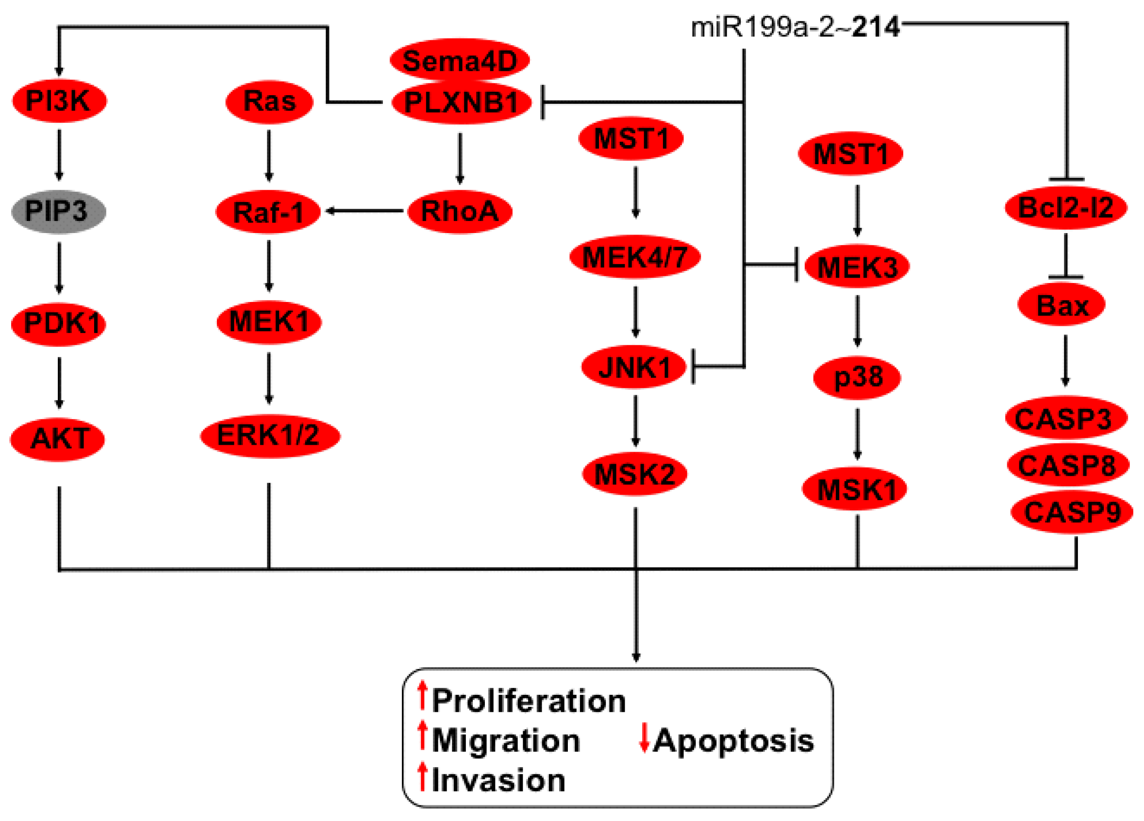 Ijms 16 12773 g005