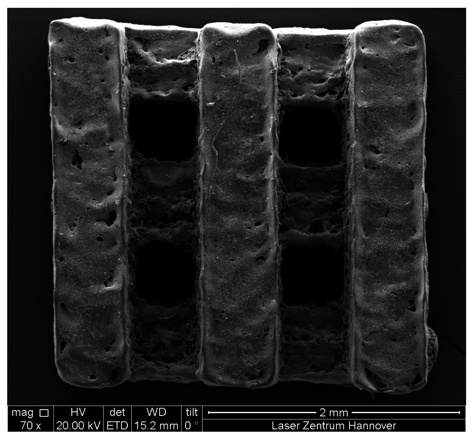 Ijms 16 13287 g001 1024