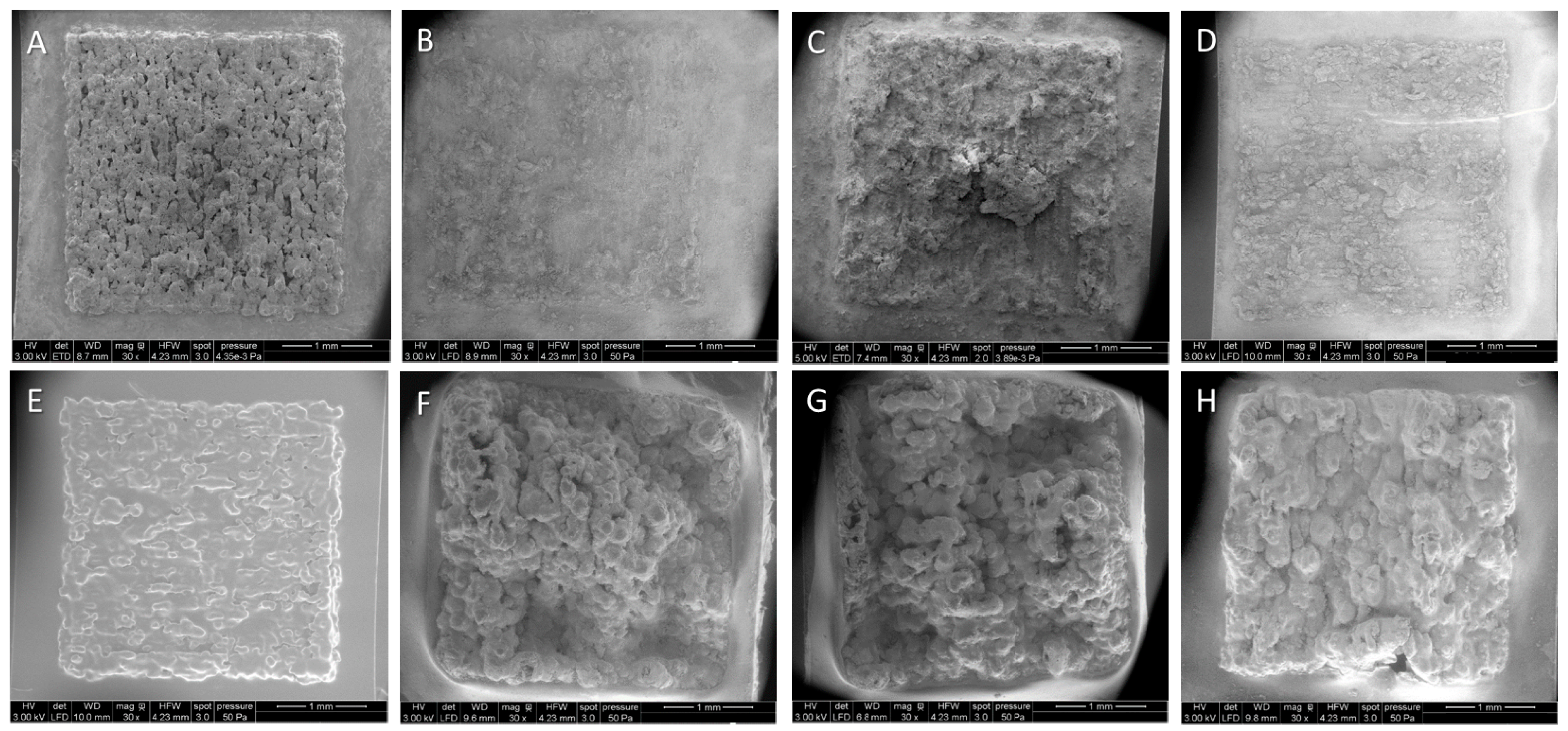 Ijms 16 13287 g002 1024