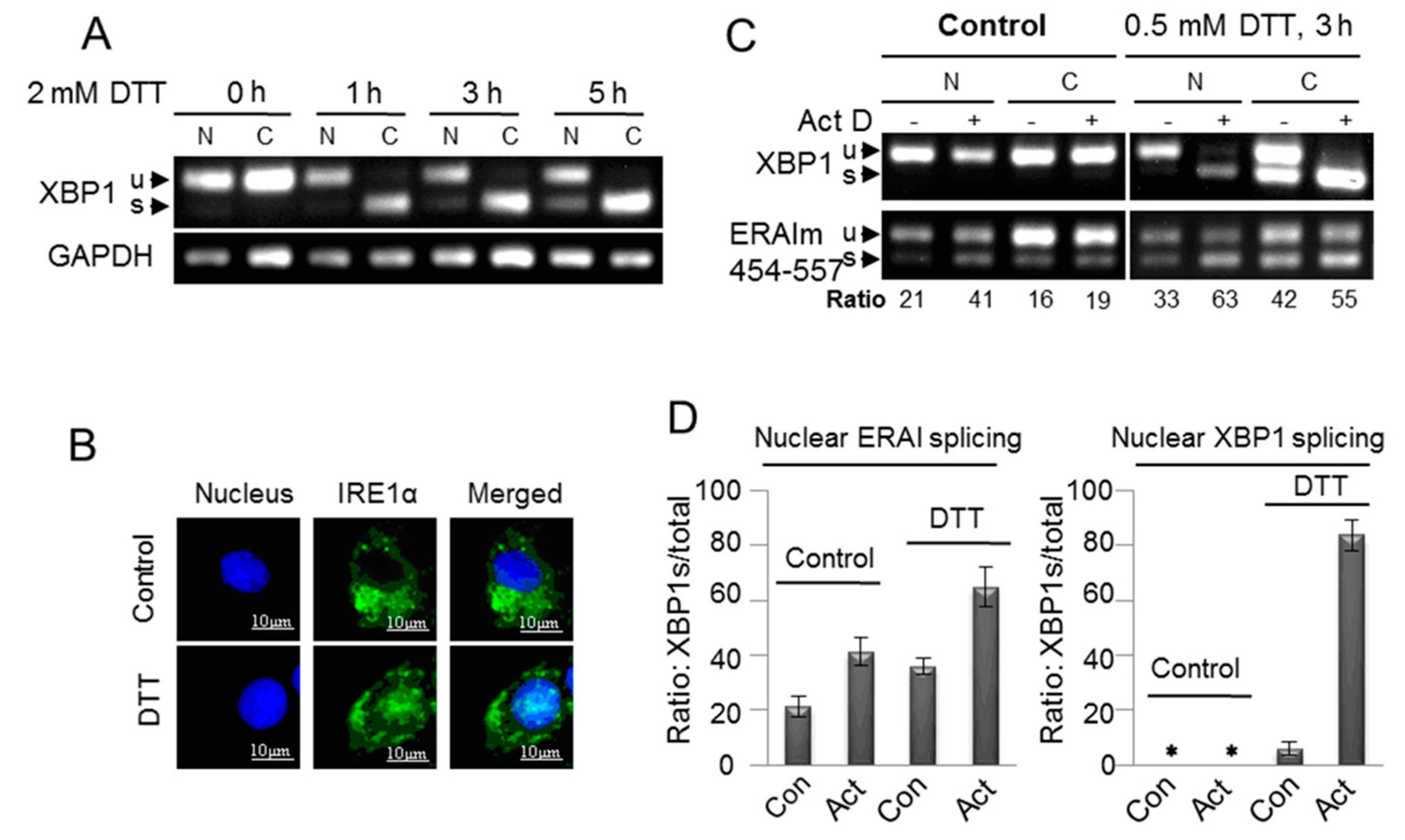Ijms 16 13302 g005 1024