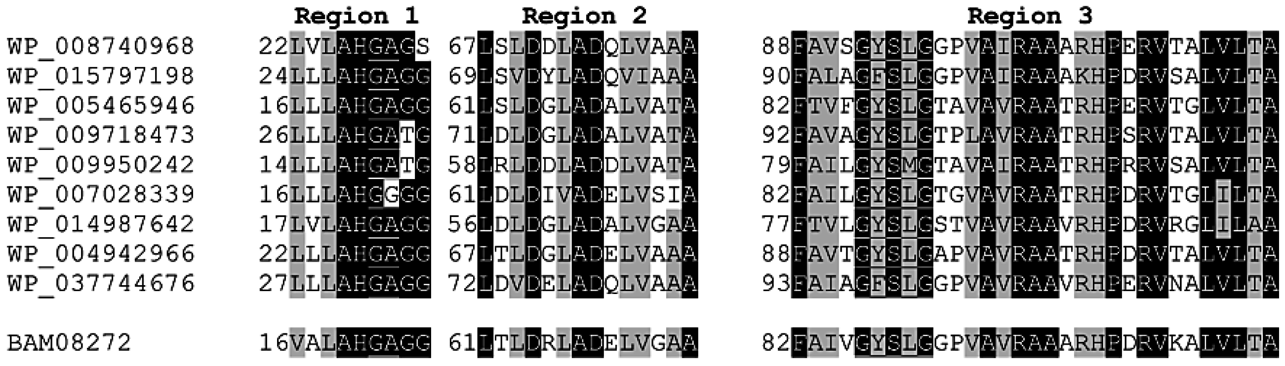 Ijms 16 13579 g002 1024