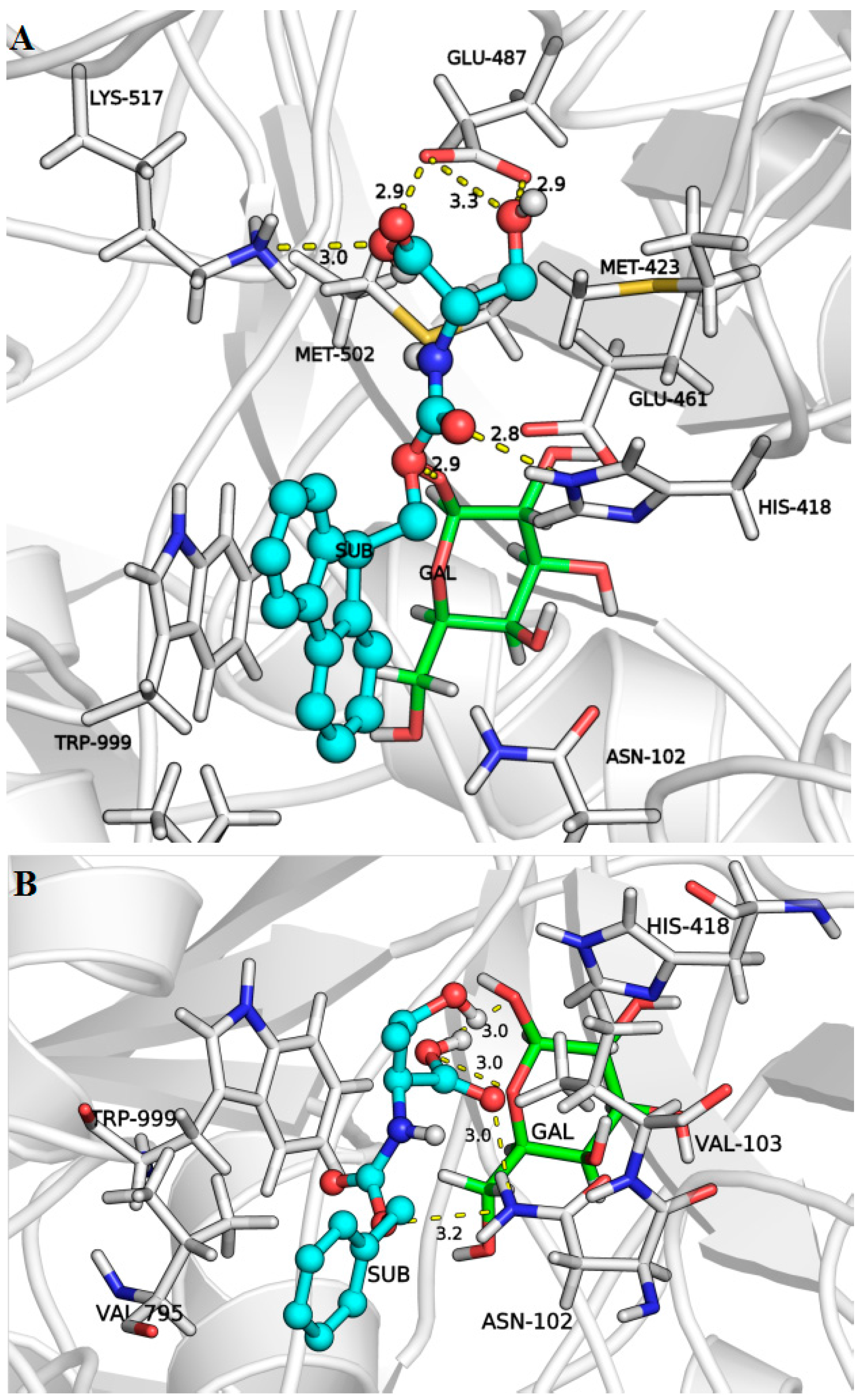 Ijms 16 13714 g005 1024