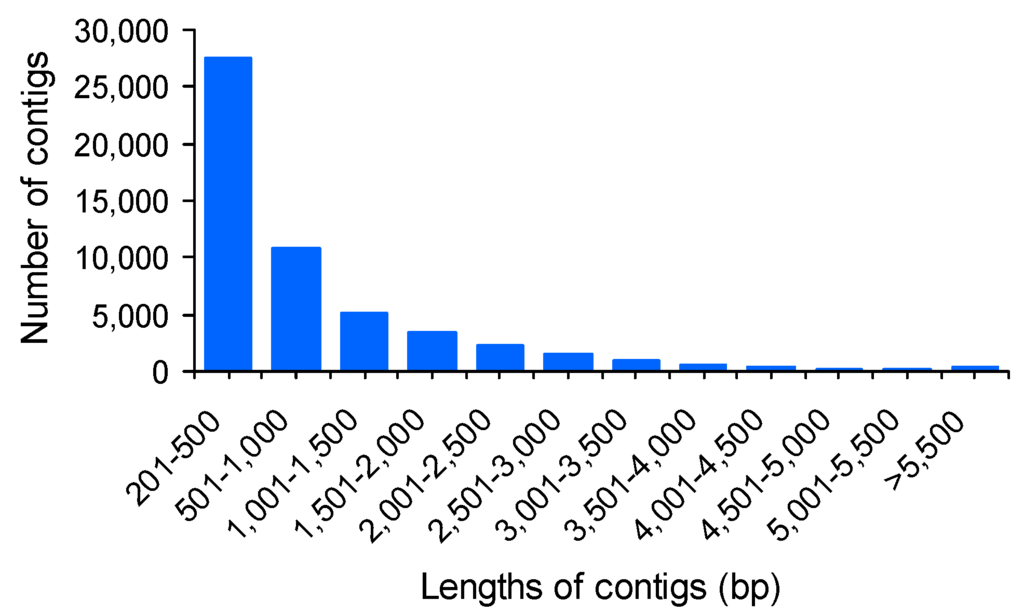 Transcriptional Profiling Reveals Differential Gene