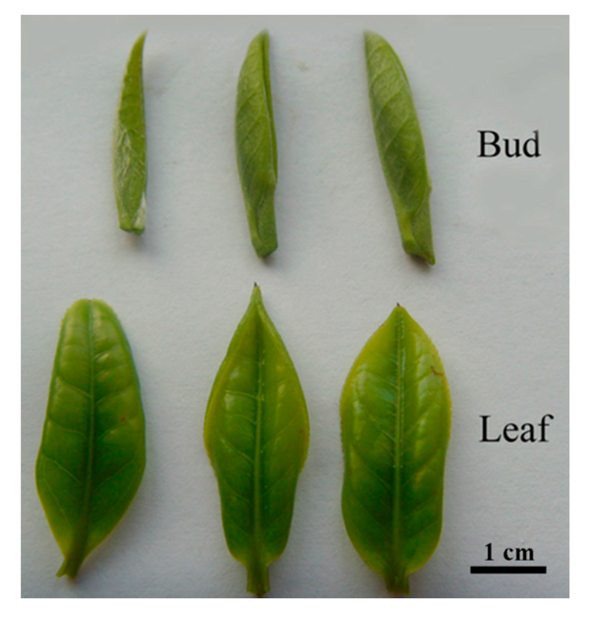 Ijms 16 14007 g006 1024