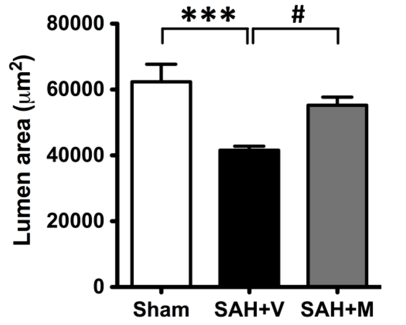 Ijms 16 14171 g002 1024