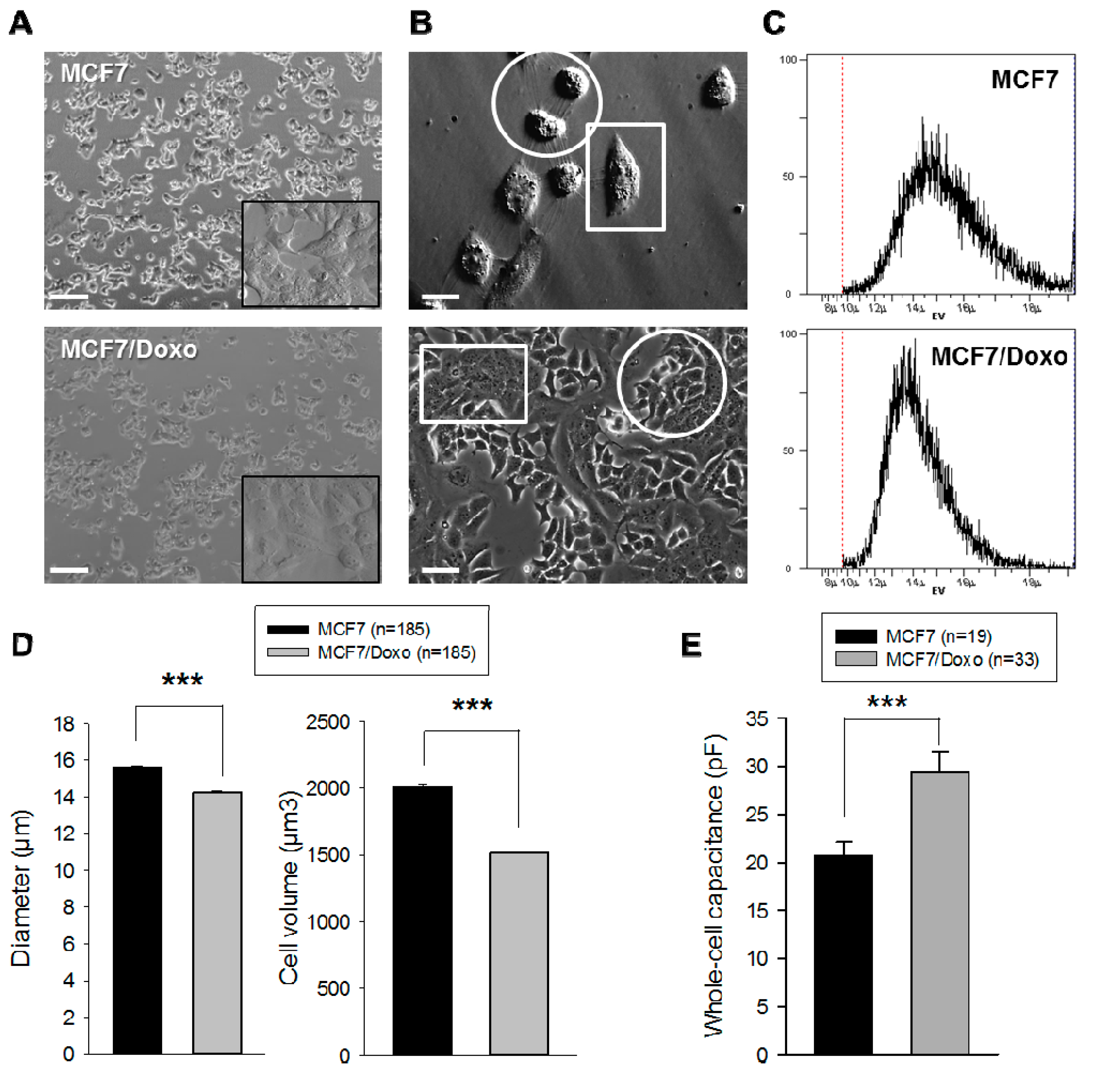 Ijms 16 14318 g001a 1024
