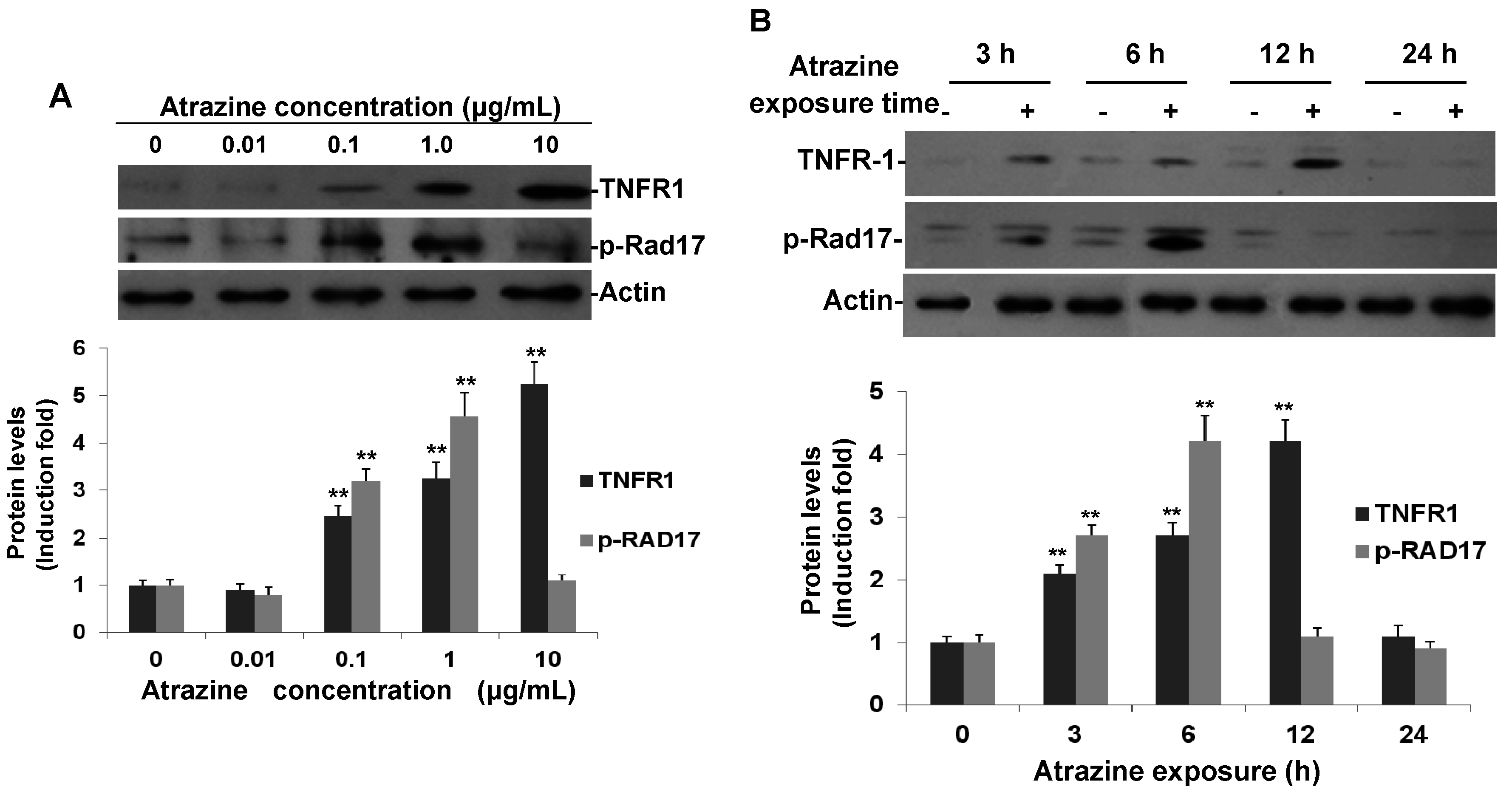 Ijms 16 14353 g003 1024