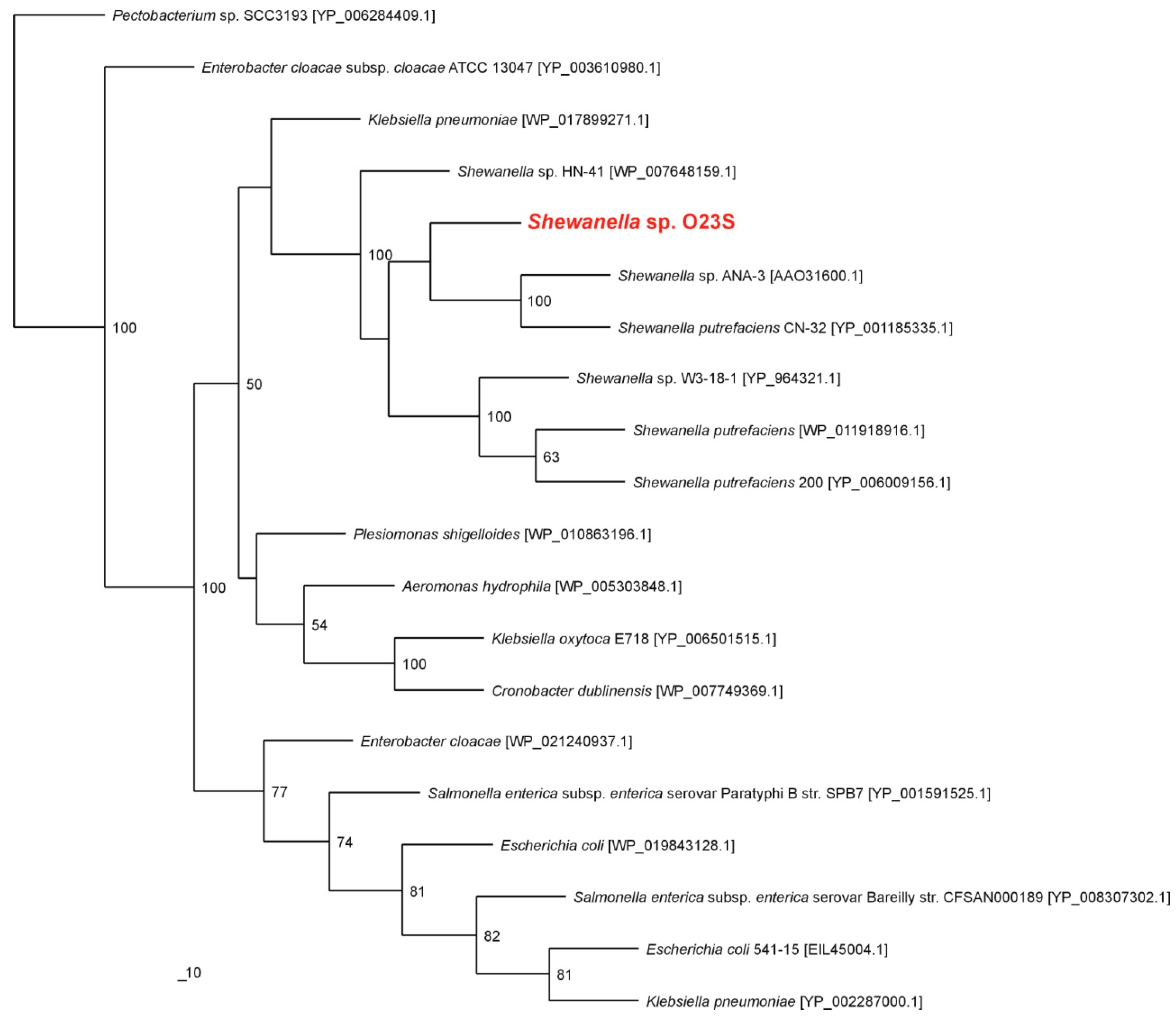 Ijms 16 14409 g002 1024