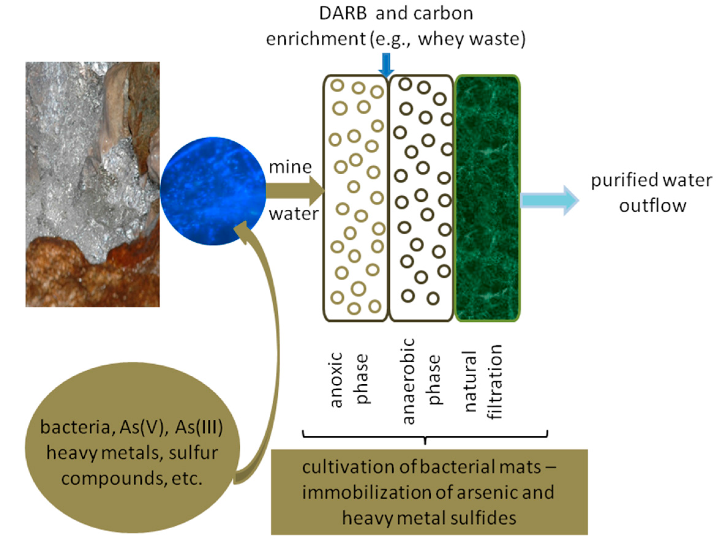 Ijms 16 14409 g009 1024