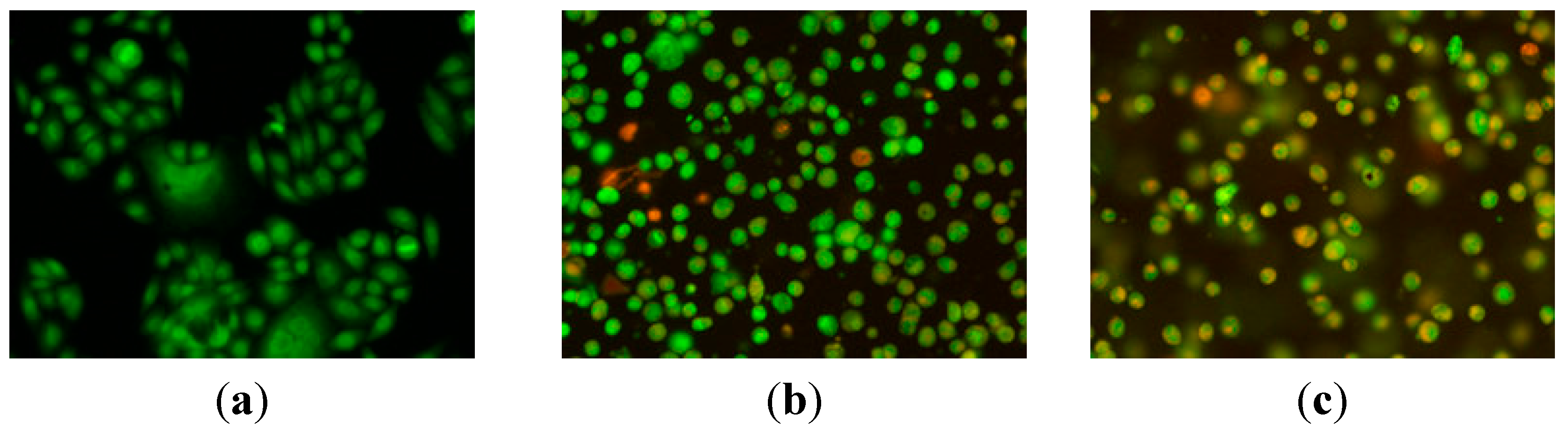 Ijms 16 14571 g001 1024