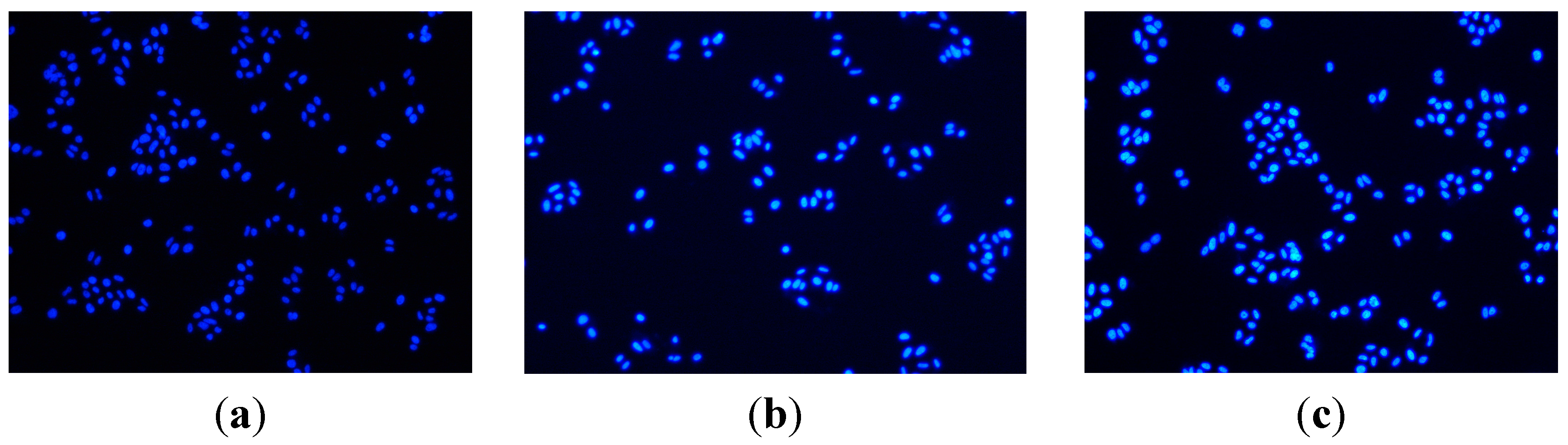 Ijms 16 14571 g002 1024