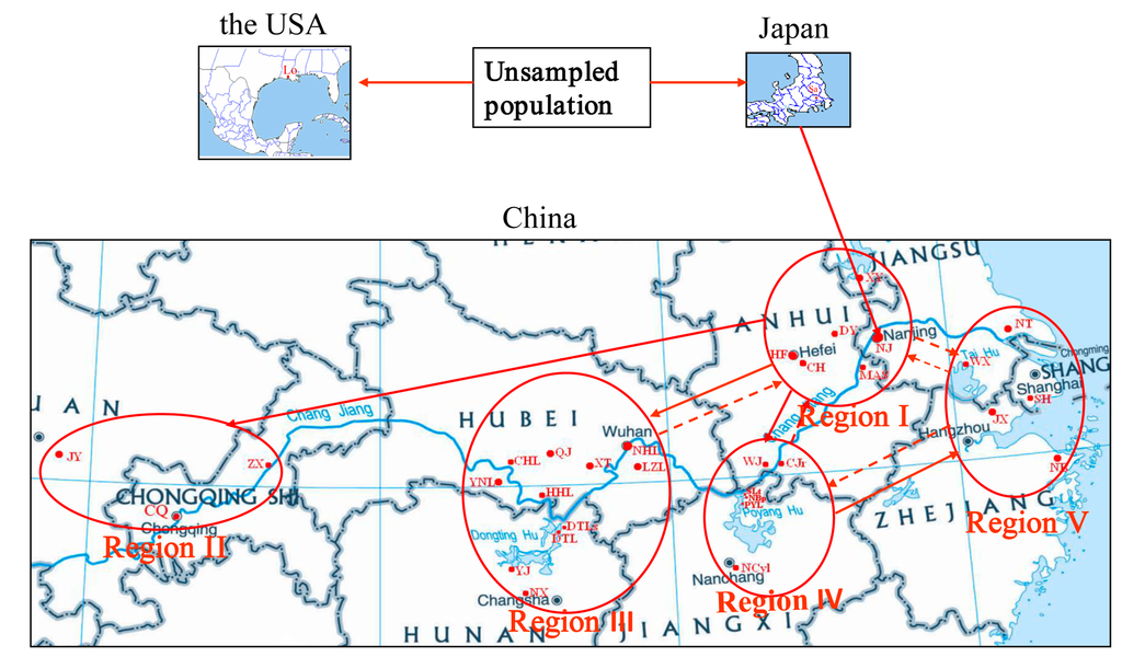 Inferring Invasion History of Red Swamp Crayfish