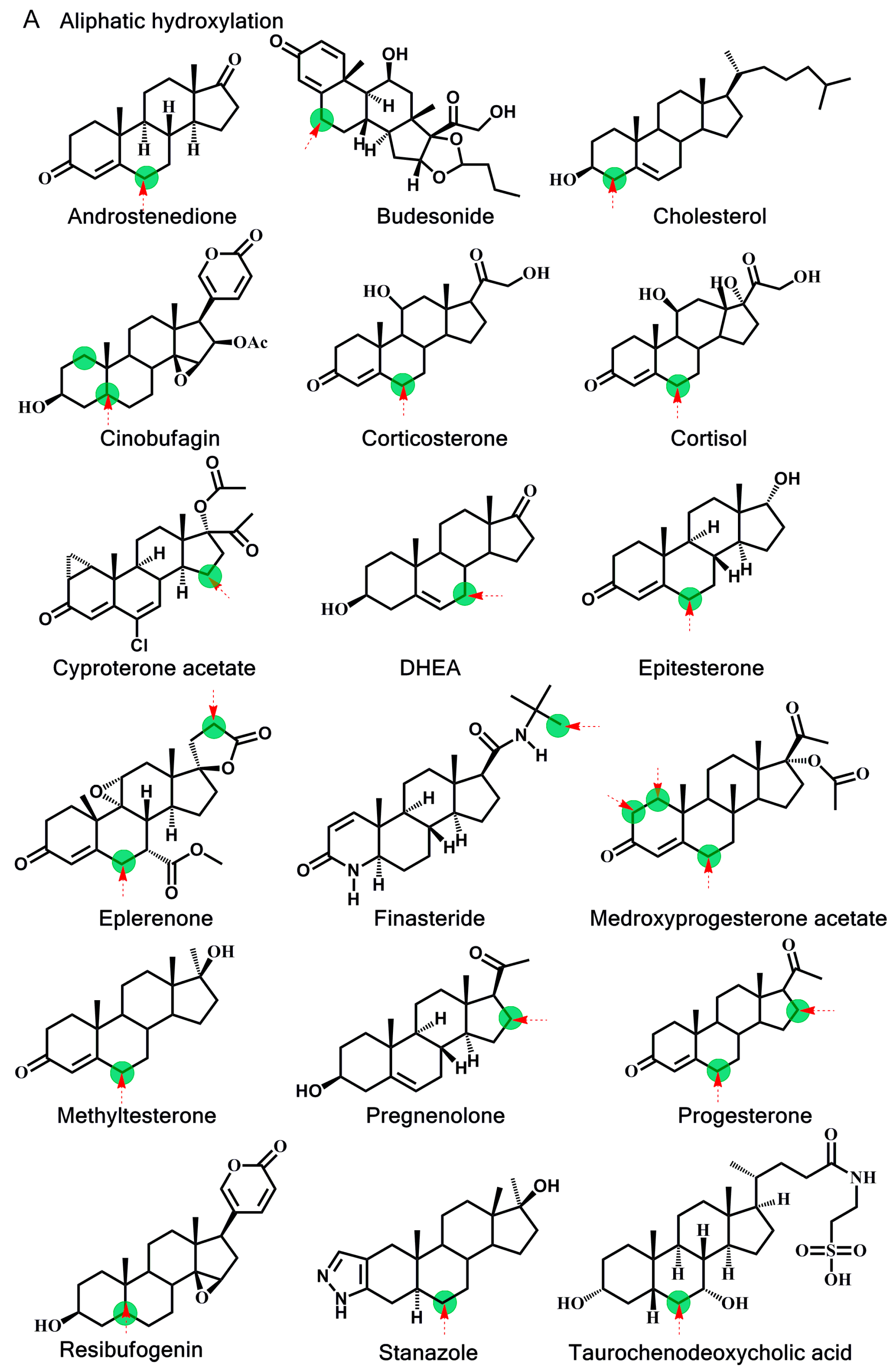 Ijms 16 14677 g003a 1024