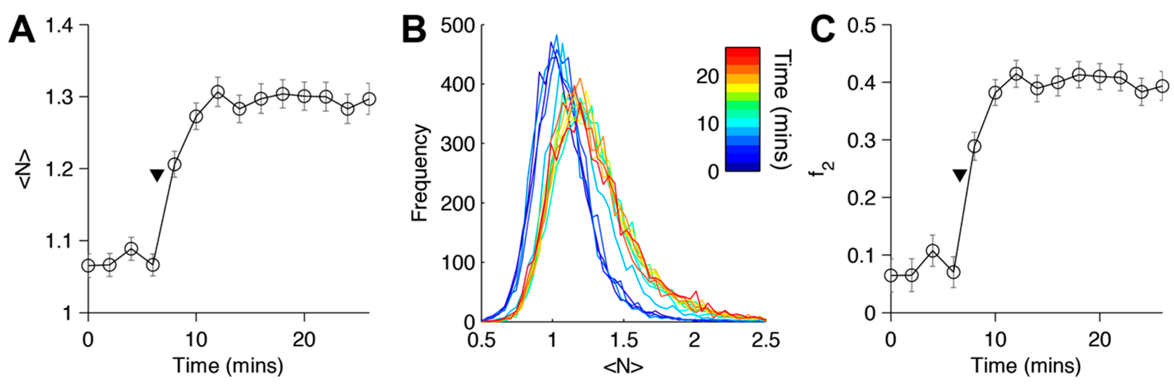 Ijms 16 14695 g003 1024