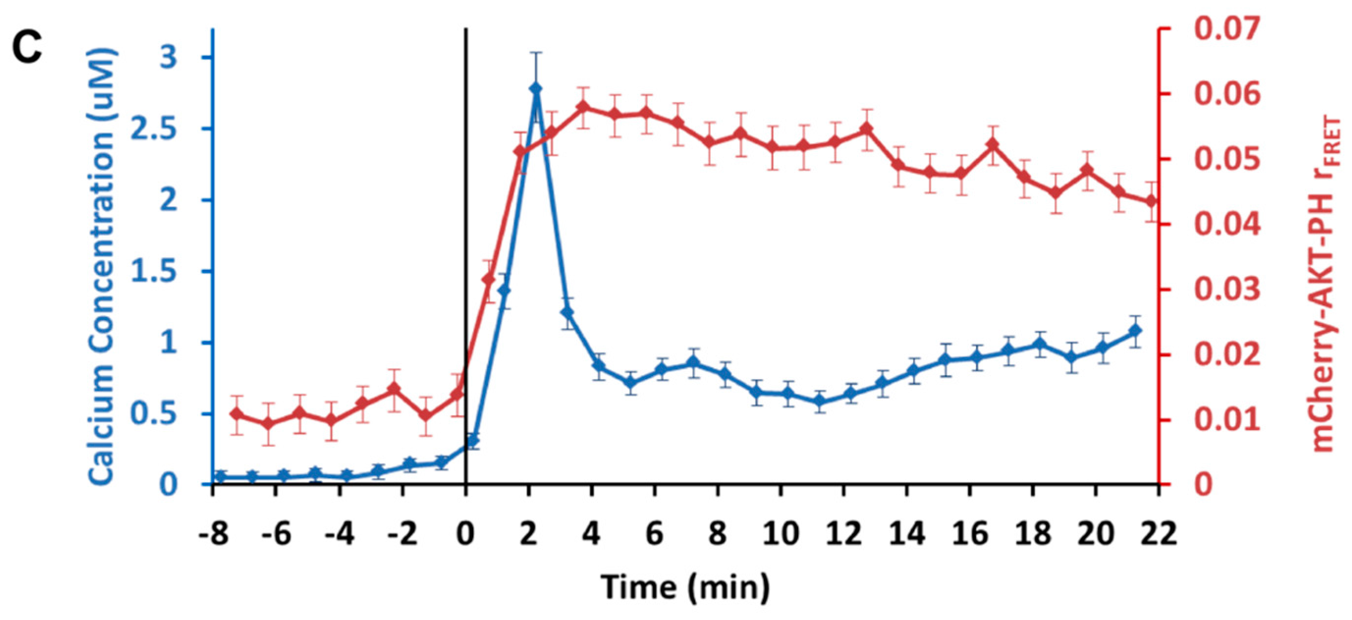 Ijms 16 14695 g004b 1024