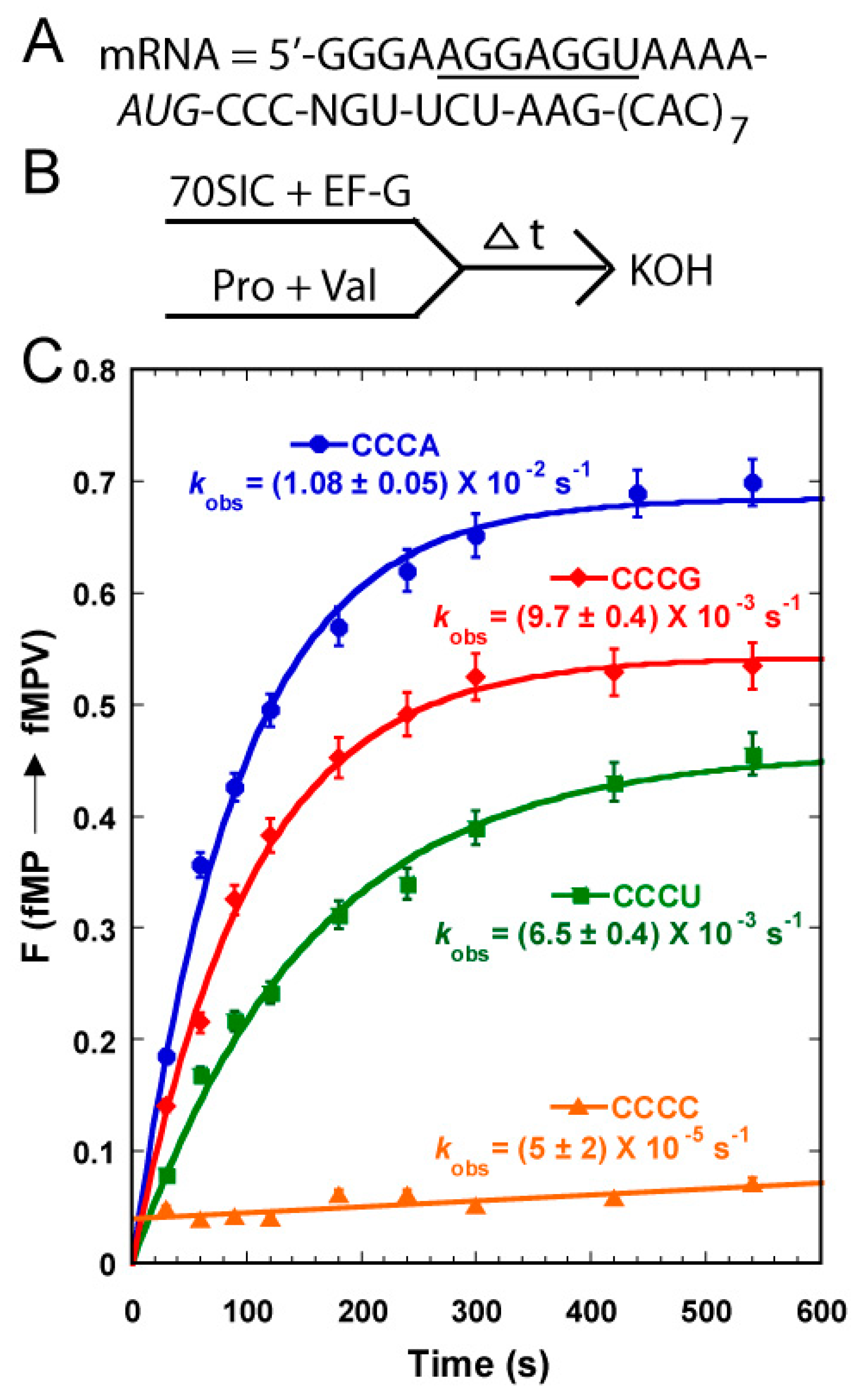 Ijms 16 14866 g004 1024