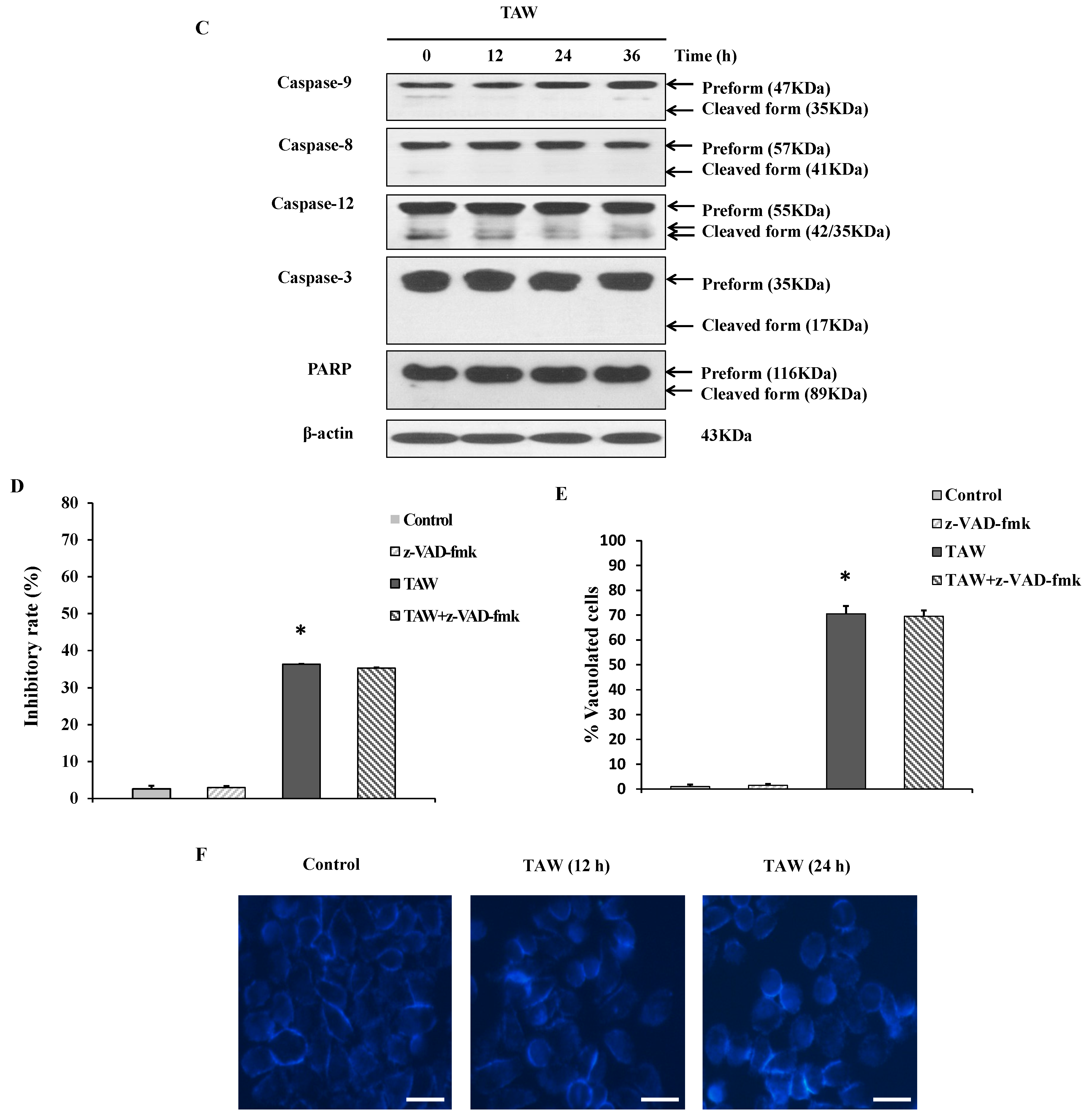 Ijms 16 14979 g002b 1024