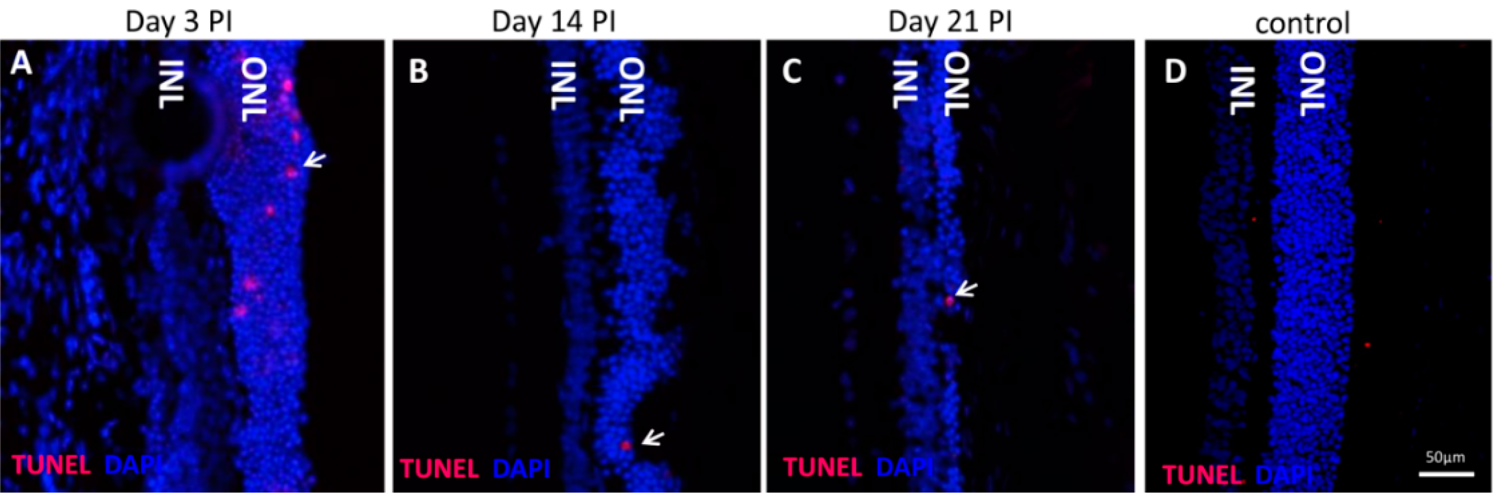 Ijms 16 15086 g002 1024